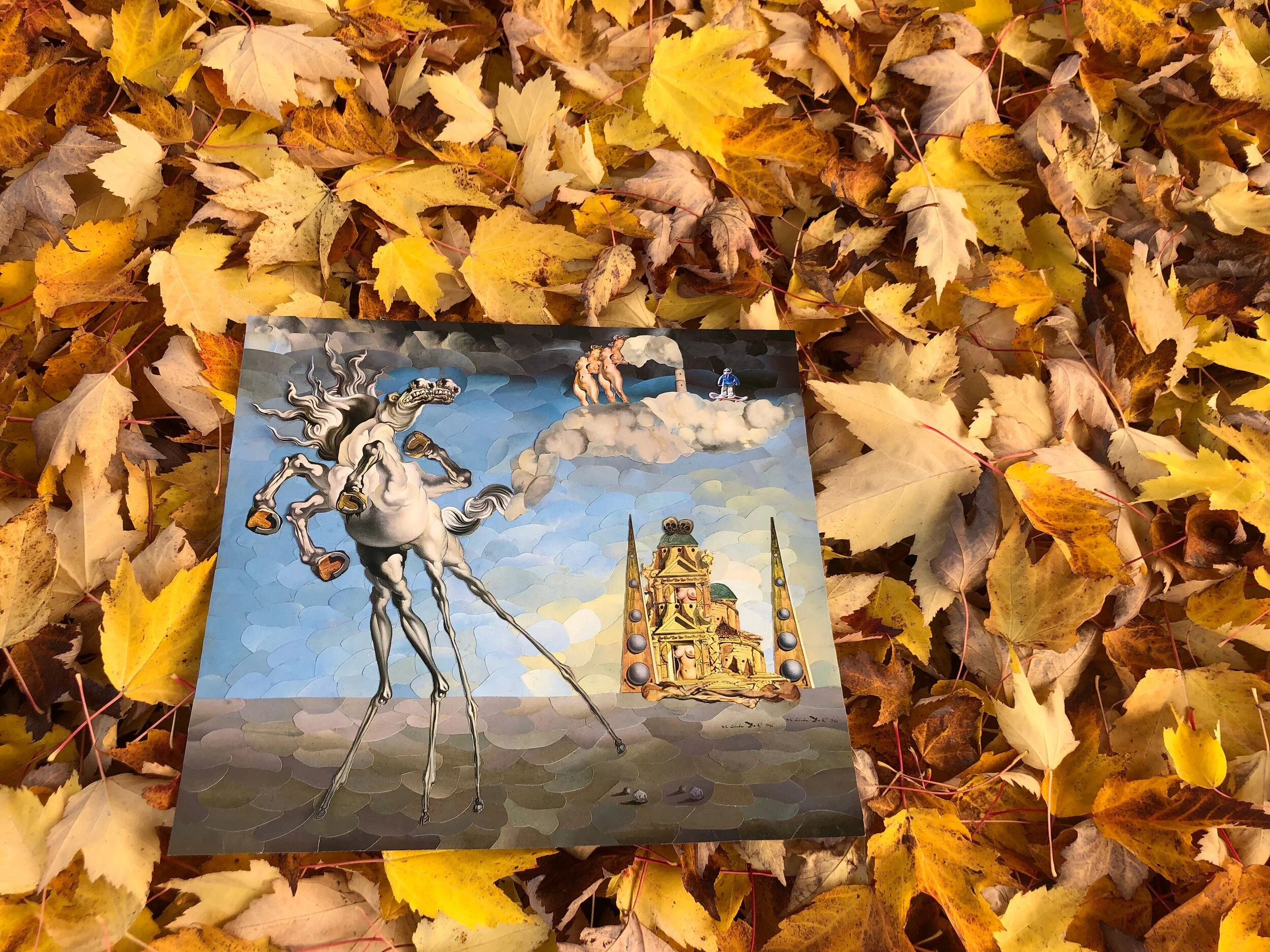 The Ladies Of The Cloud Factory #MFDALÍ