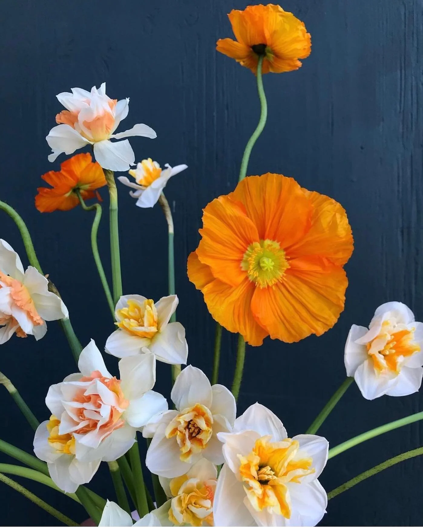 &ldquo;The most precious gift we can offer others is our presence. When mindfulness embraces those we love, they will bloom like flowers.&rdquo;
- Thich Nhat Hanh
.
.
.
📷 by @yasminemei - thank you
