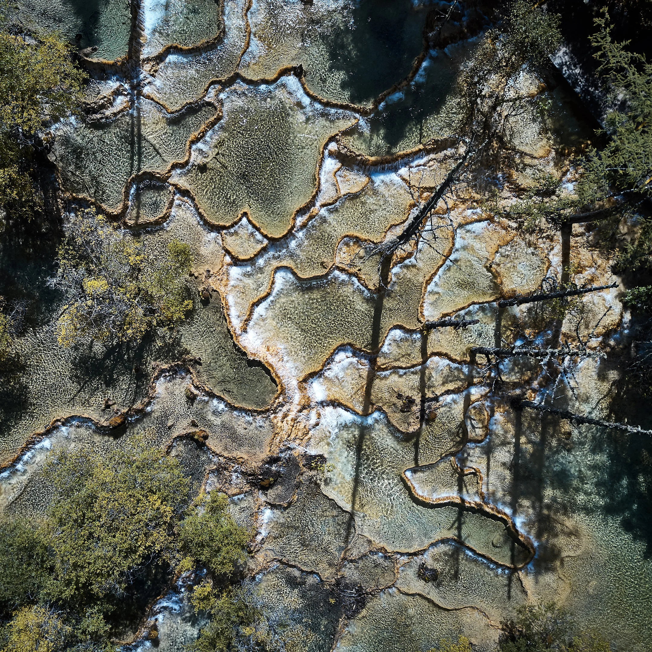 2017-10-01 11.36.43 2017-10-01 11.36.43_FC220_DJI_0098.jpg