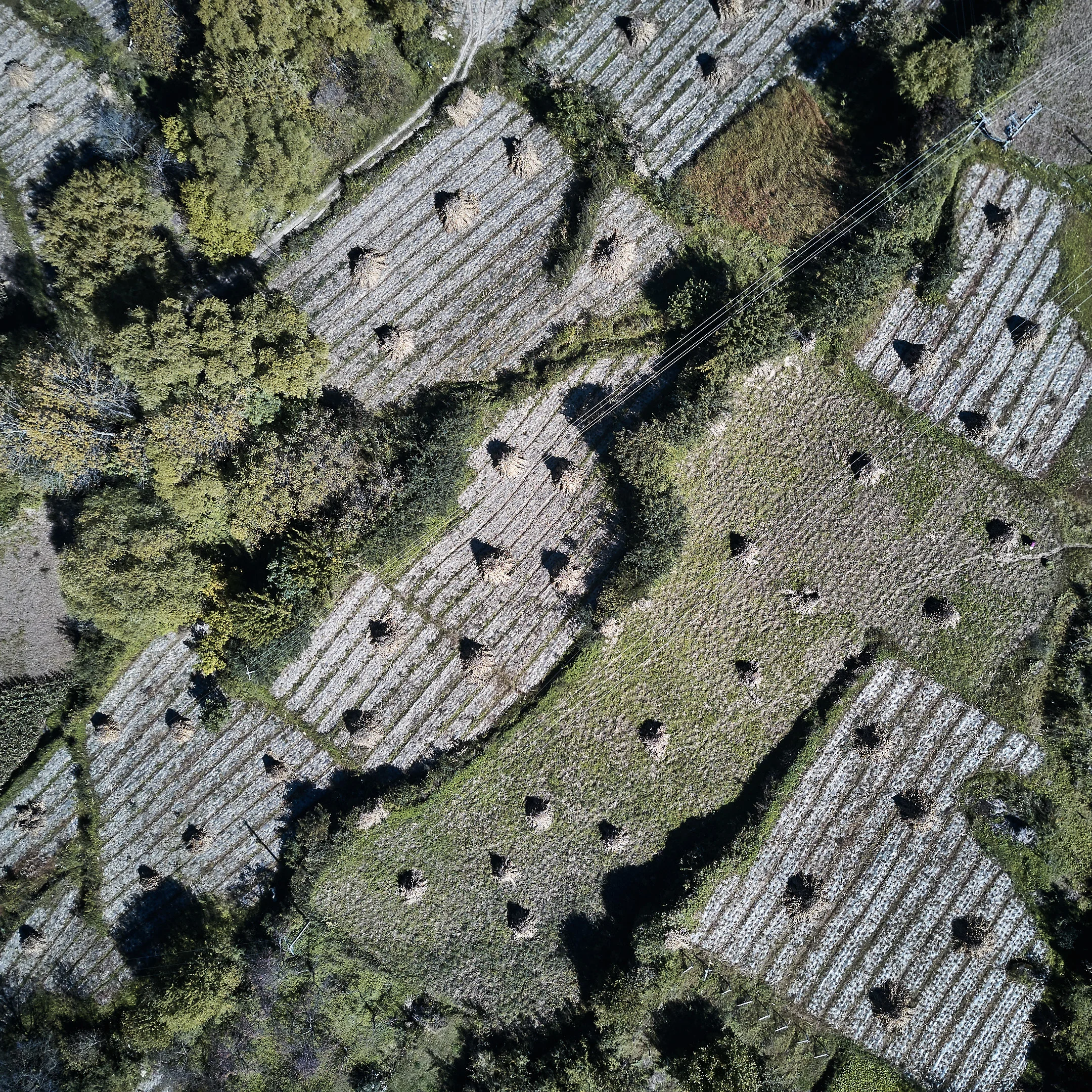 2017-10-07 11.58.20_FC220_DJI_0318.jpg