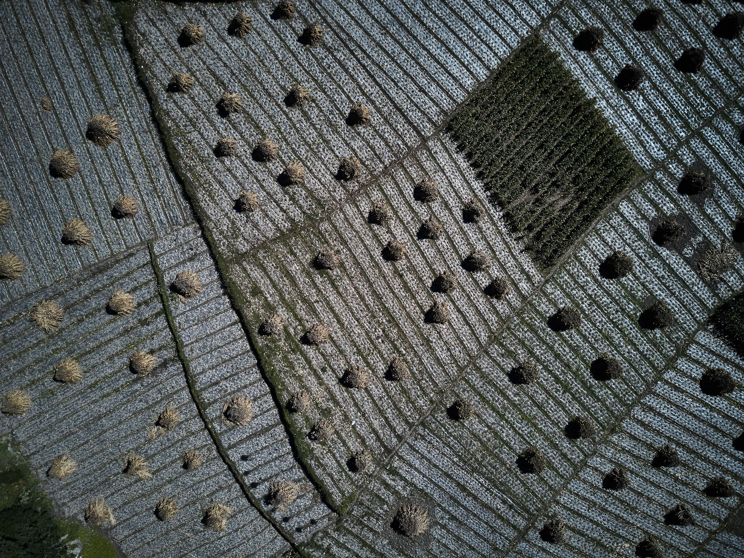 2017-10-07 13.00.52_FC220_DJI_0335.jpg
