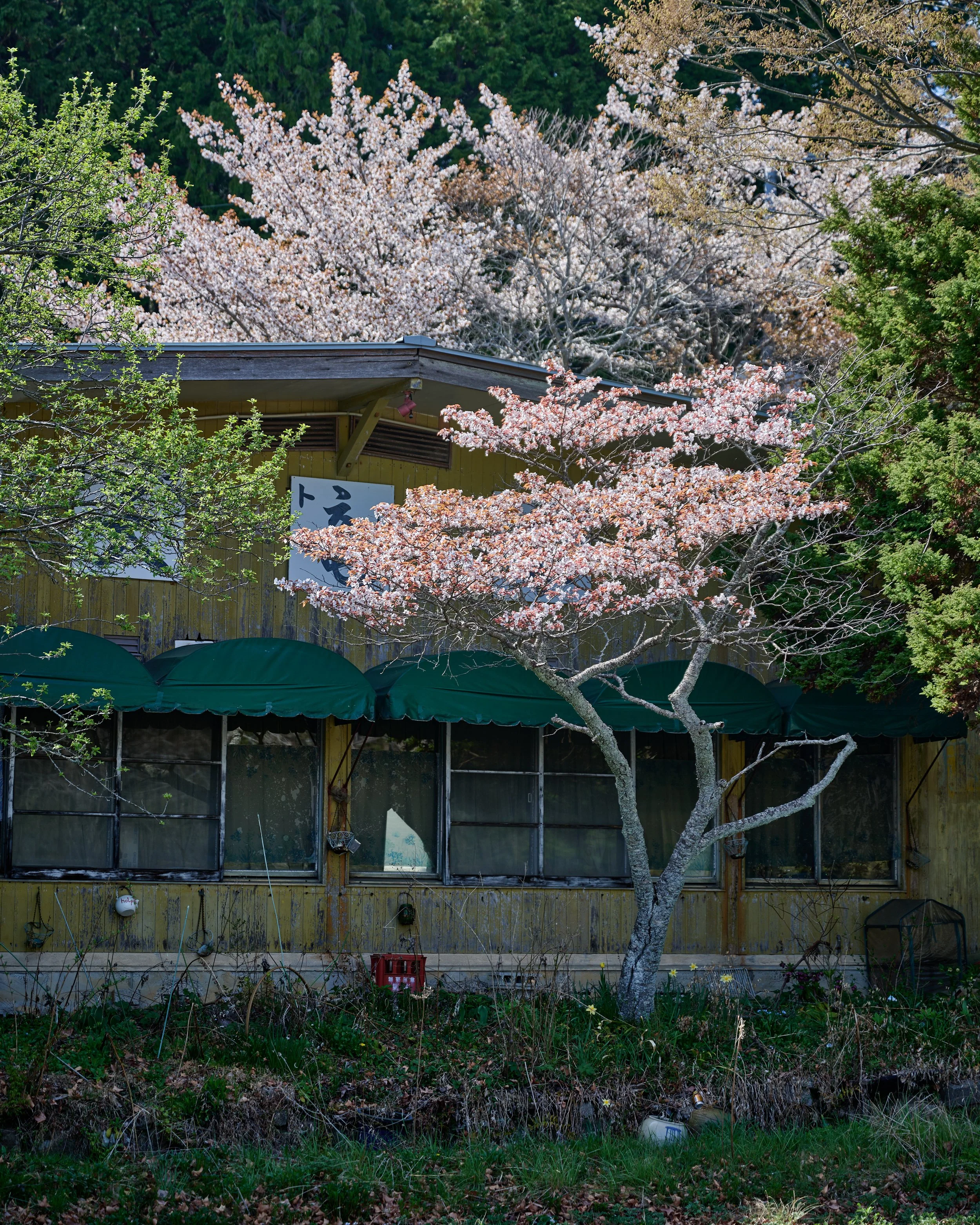 DSC_1947.jpg