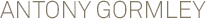 logo-antonygormley.gif