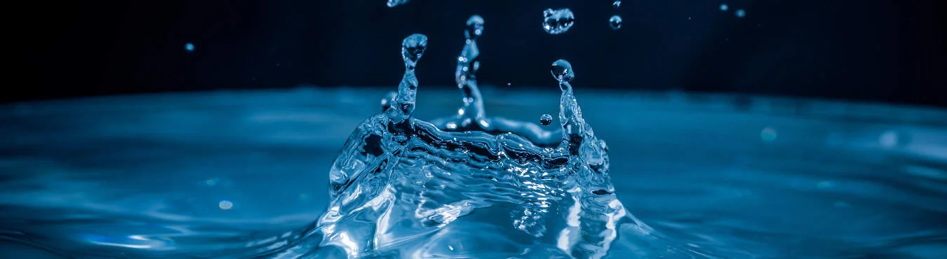 SFA Basic Legionella Management.jpg