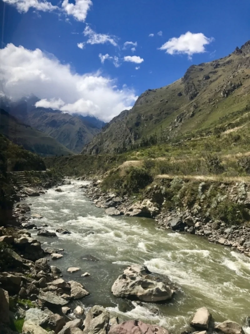 MP Train view.jpg