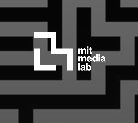 Advancing Brain Wellness seminar at the Massachussetts Institute of Technology (MIT)