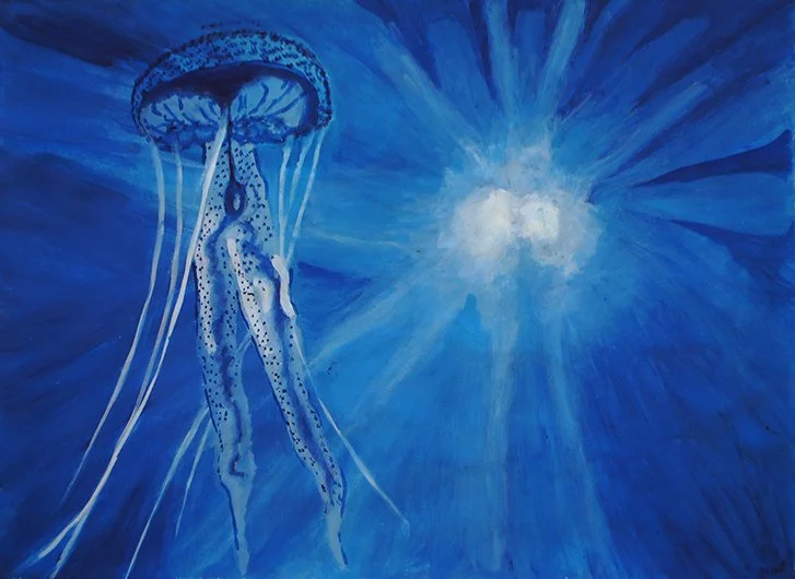 5.Jellyfish(370^570).jpg