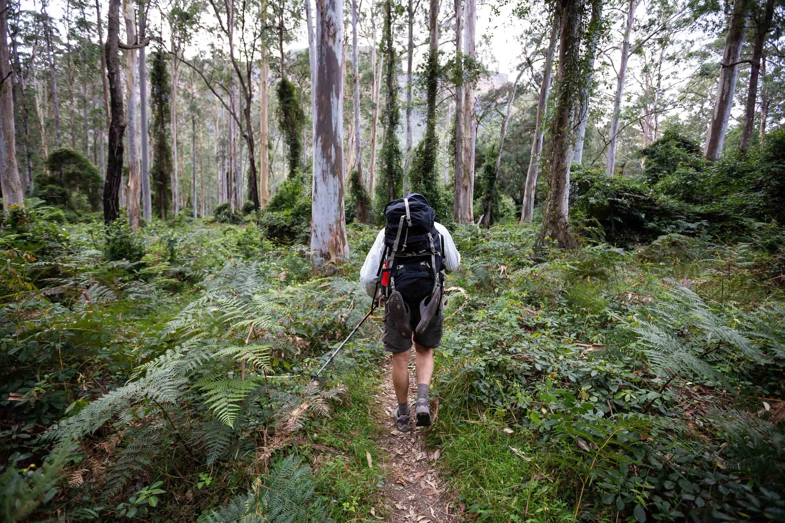Hiking-Katoomba-Chiro-Centre-Blue-mountains-1.jpg