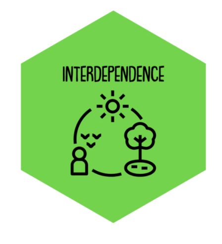 Pre.School_Re.Immaginaries_portland_oregon_preschool_core_values_interdependence.jpg
