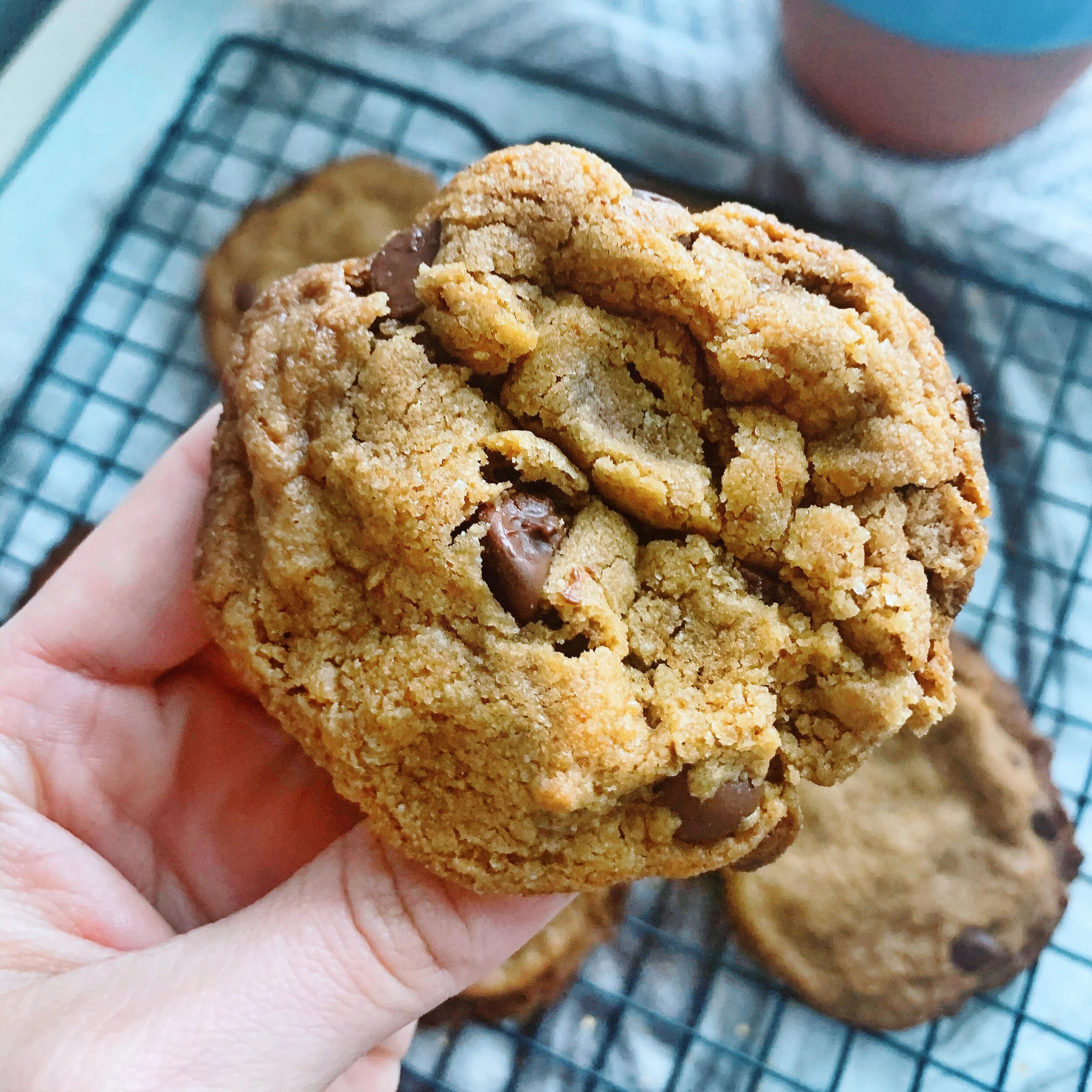 Chocolate Chip Cookies (no butter)