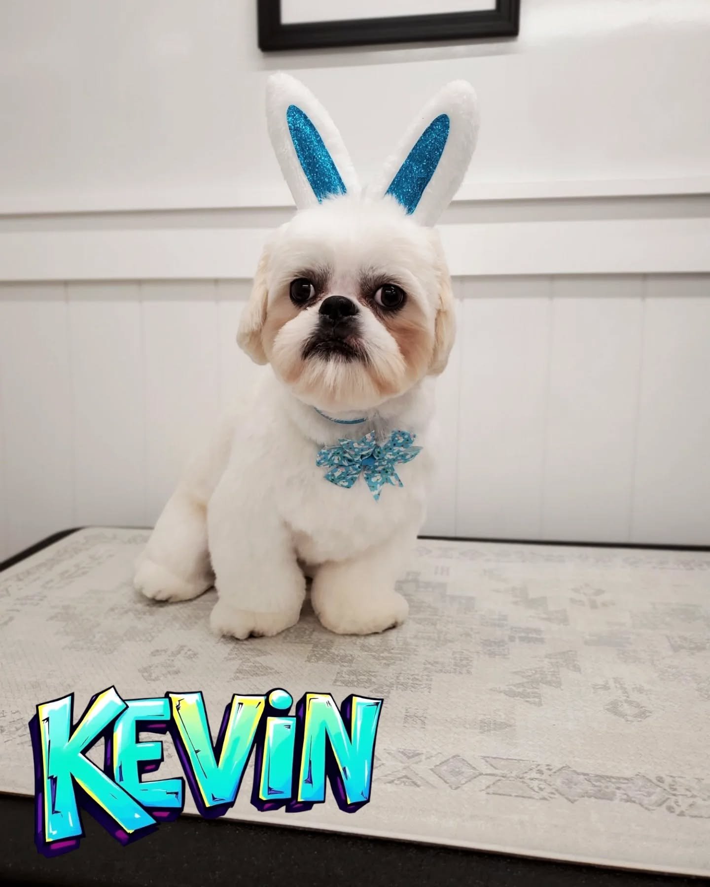 The EASTER BUNNY visited the salon this afternoon!!🐇&hearts;️🐾