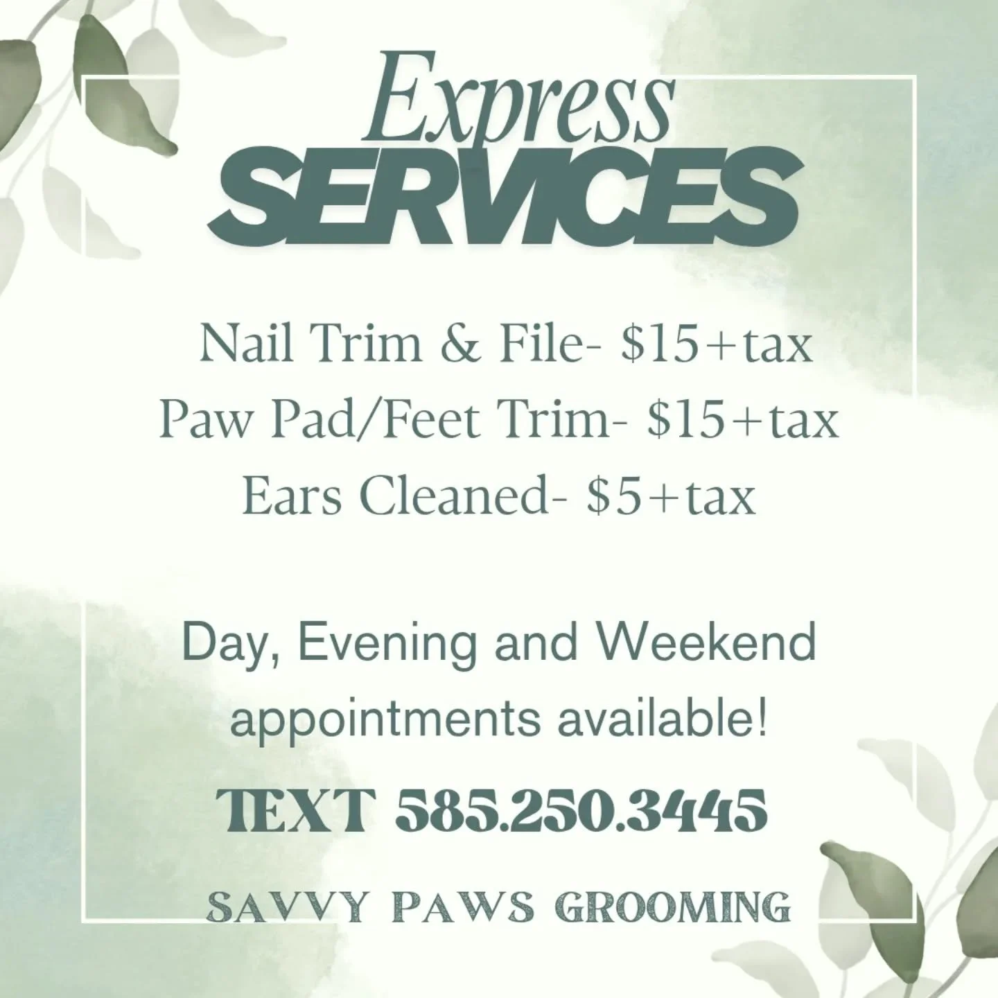 🐾We also offer express grooming services! Text 585.250.3445 for an appointment!🐾