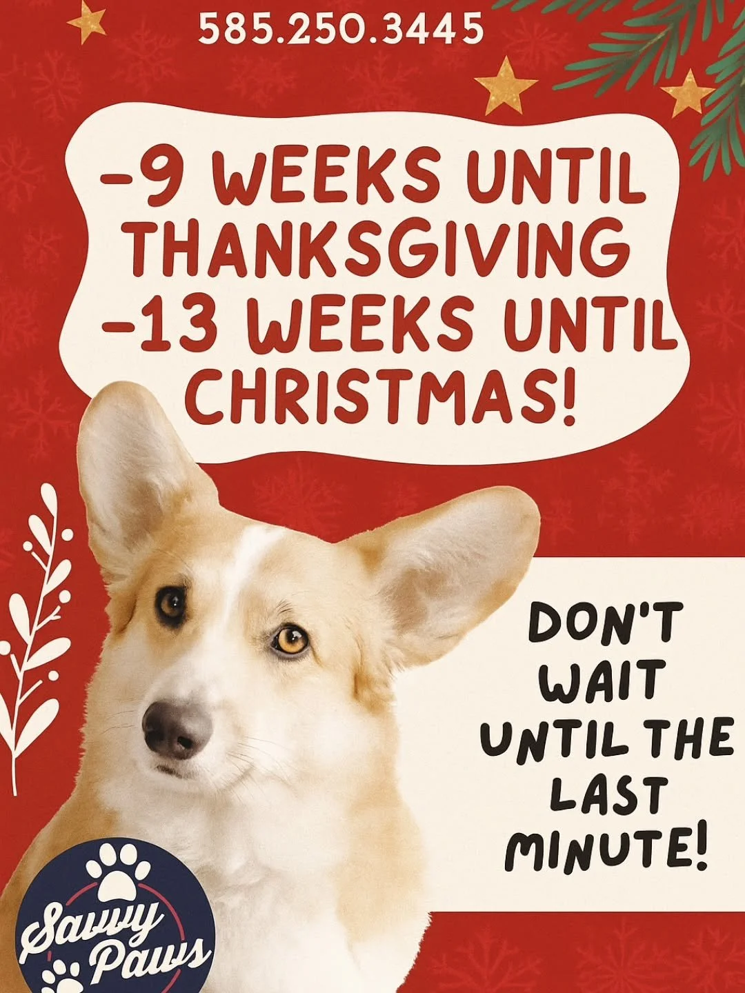 It's almost the MOST wonderful time of the year!!🍁🎃🦃🎄❄️🎅 

The holiday months book up fast! If you know you're going to want an appointment, please book them SOON!!