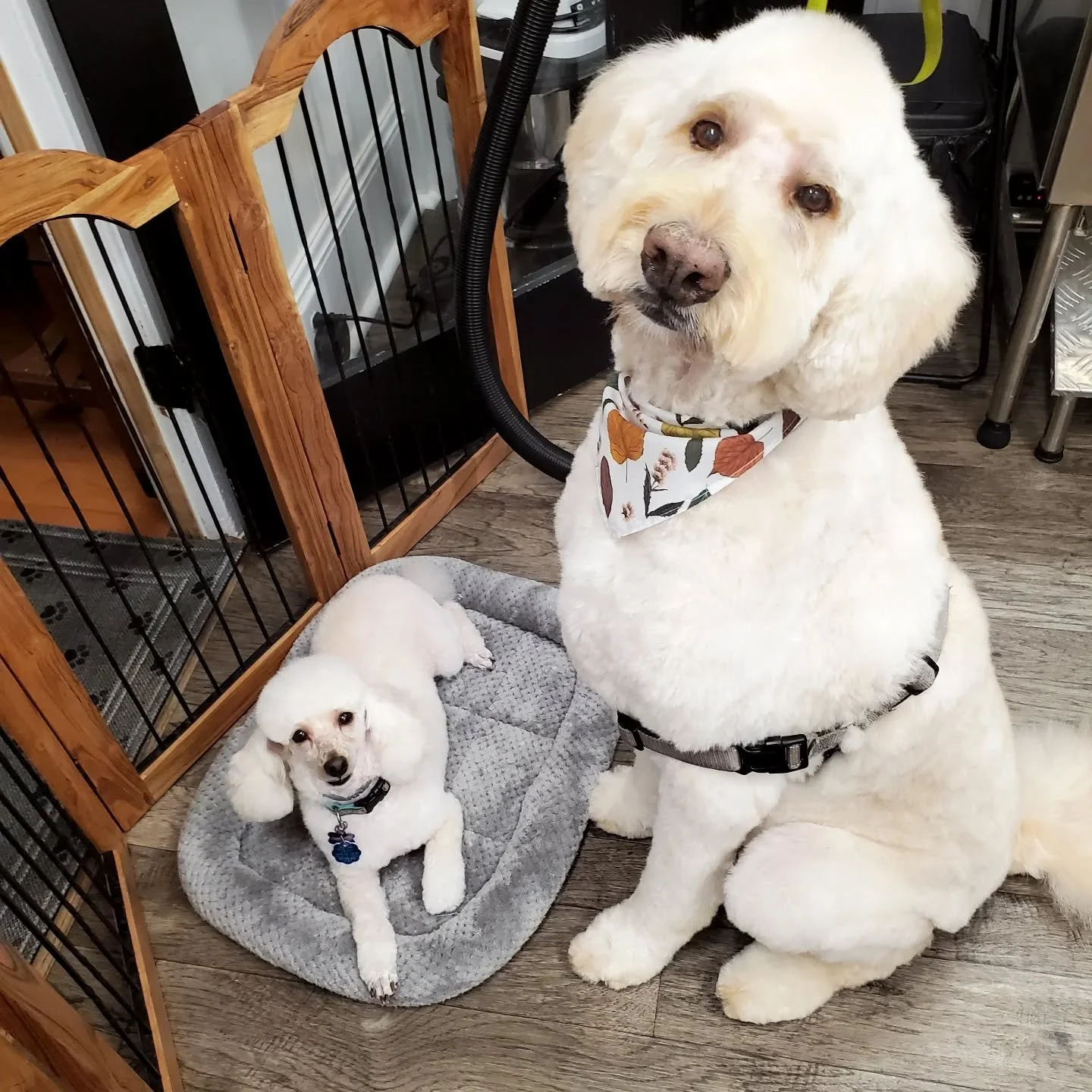 Two peas in a pod💕