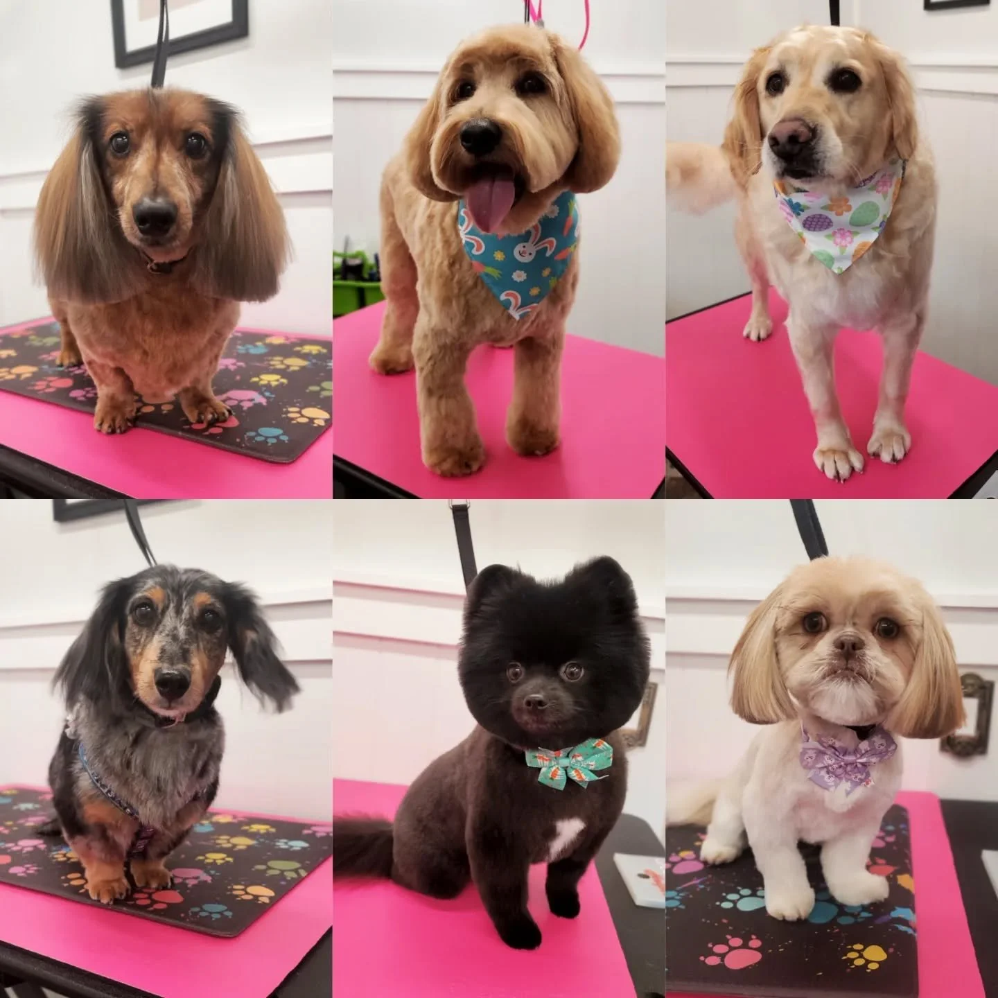 Getting ready for the Easter bunny! 🐣 🐰