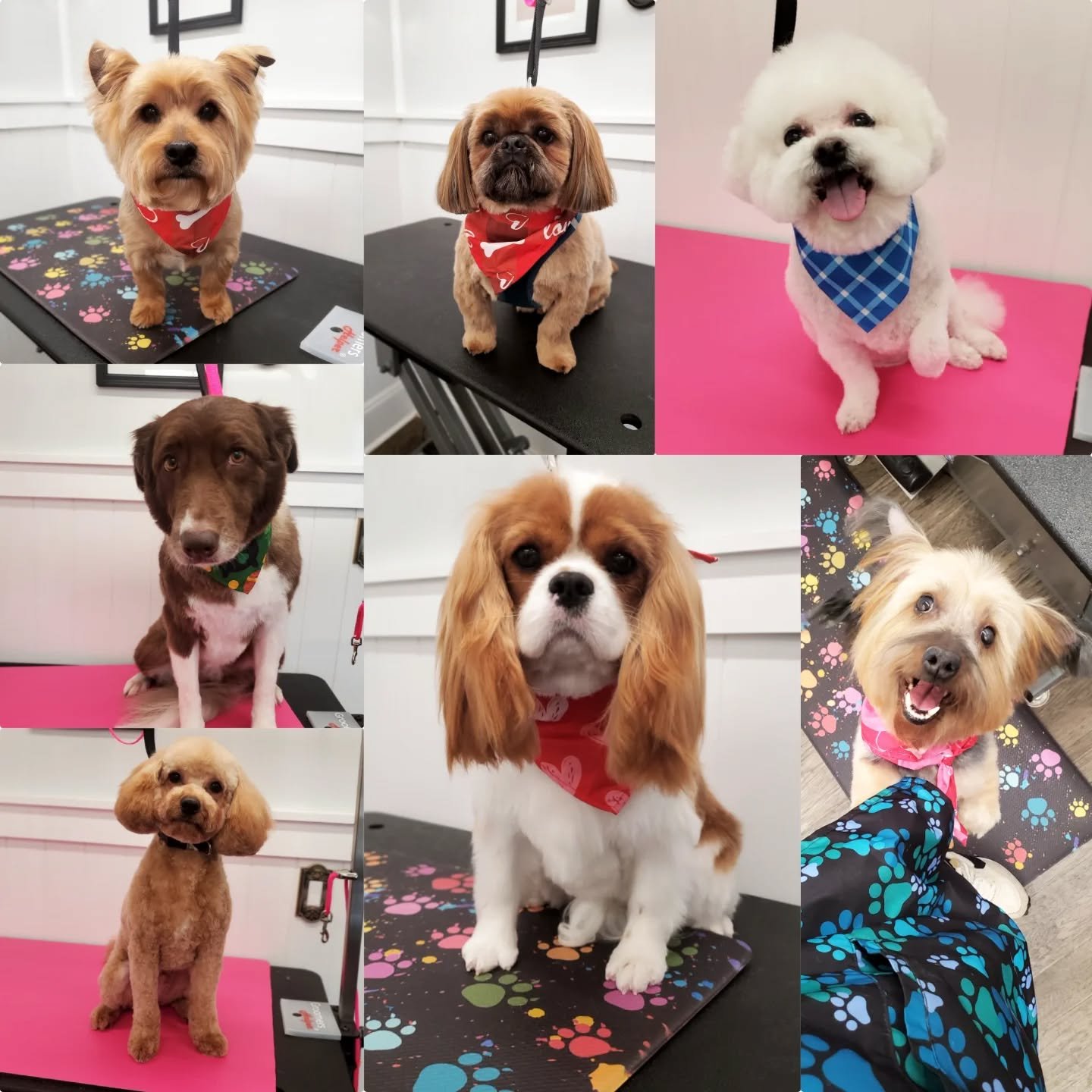 A bunch of smiling faces on this sunny Thursday😍