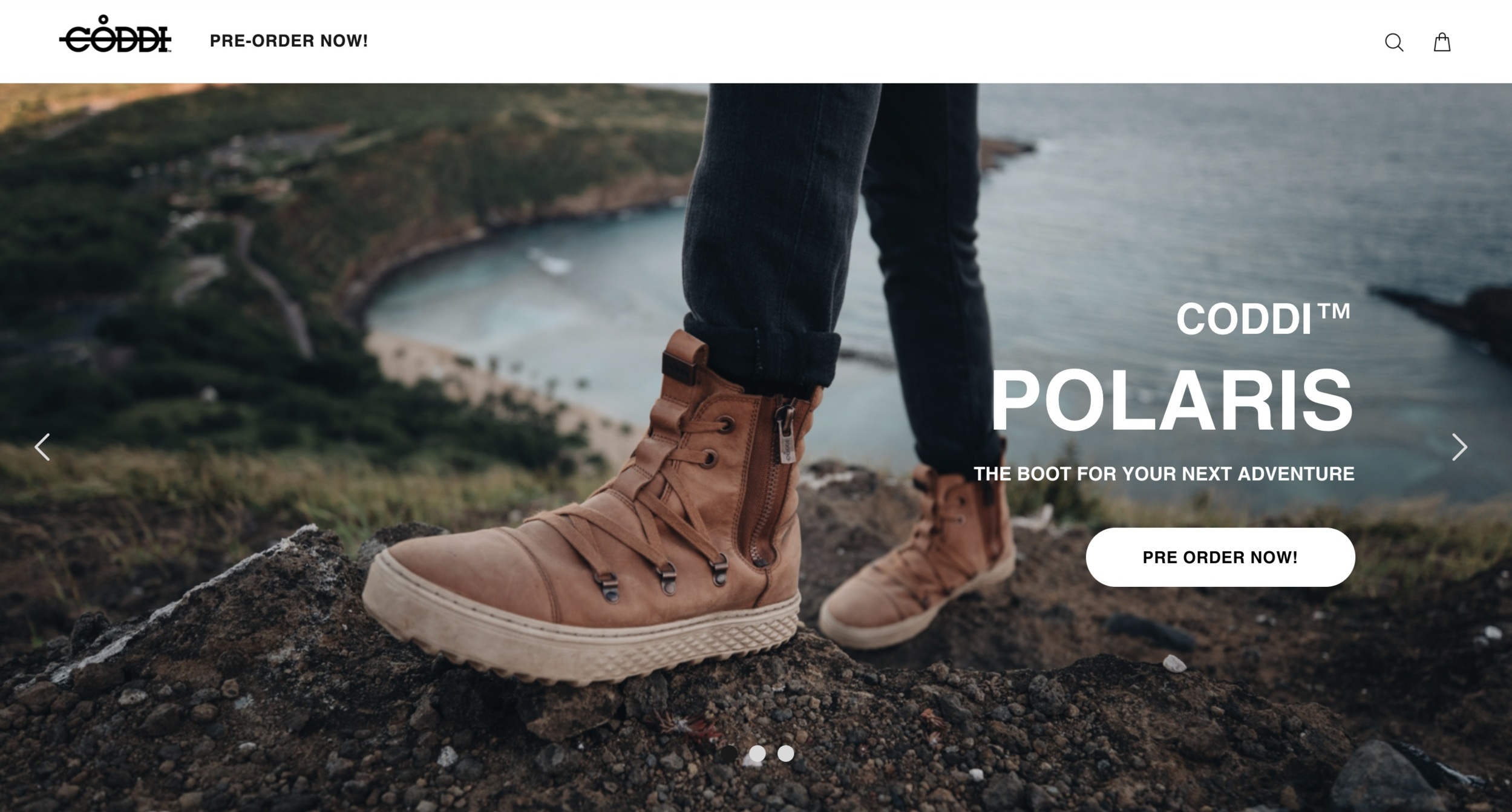 Screen%2BShot%2B2019-03-08%2Bat%2B5.38.42%2BPM.jpg