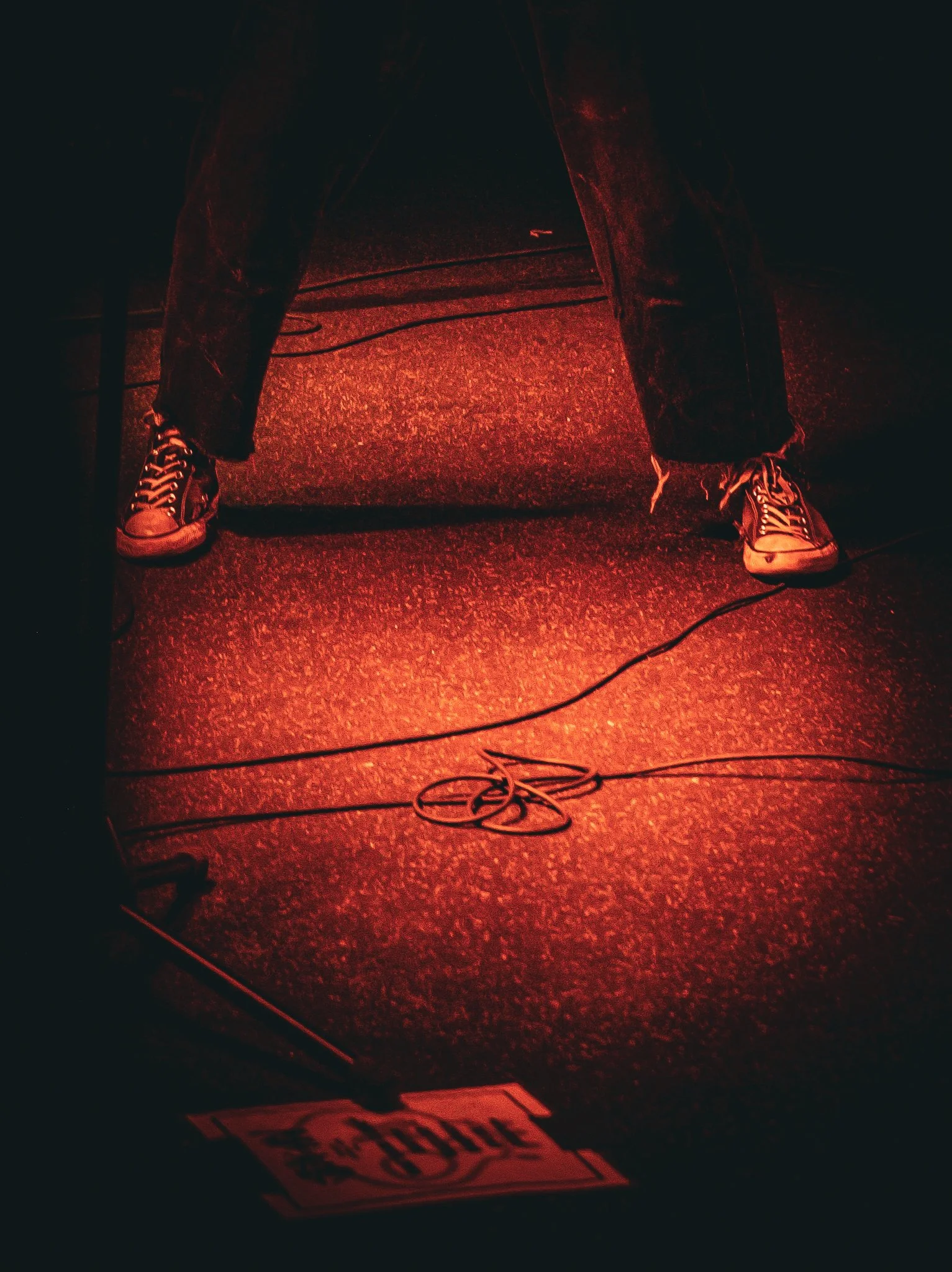 StrayView_3.jpg
