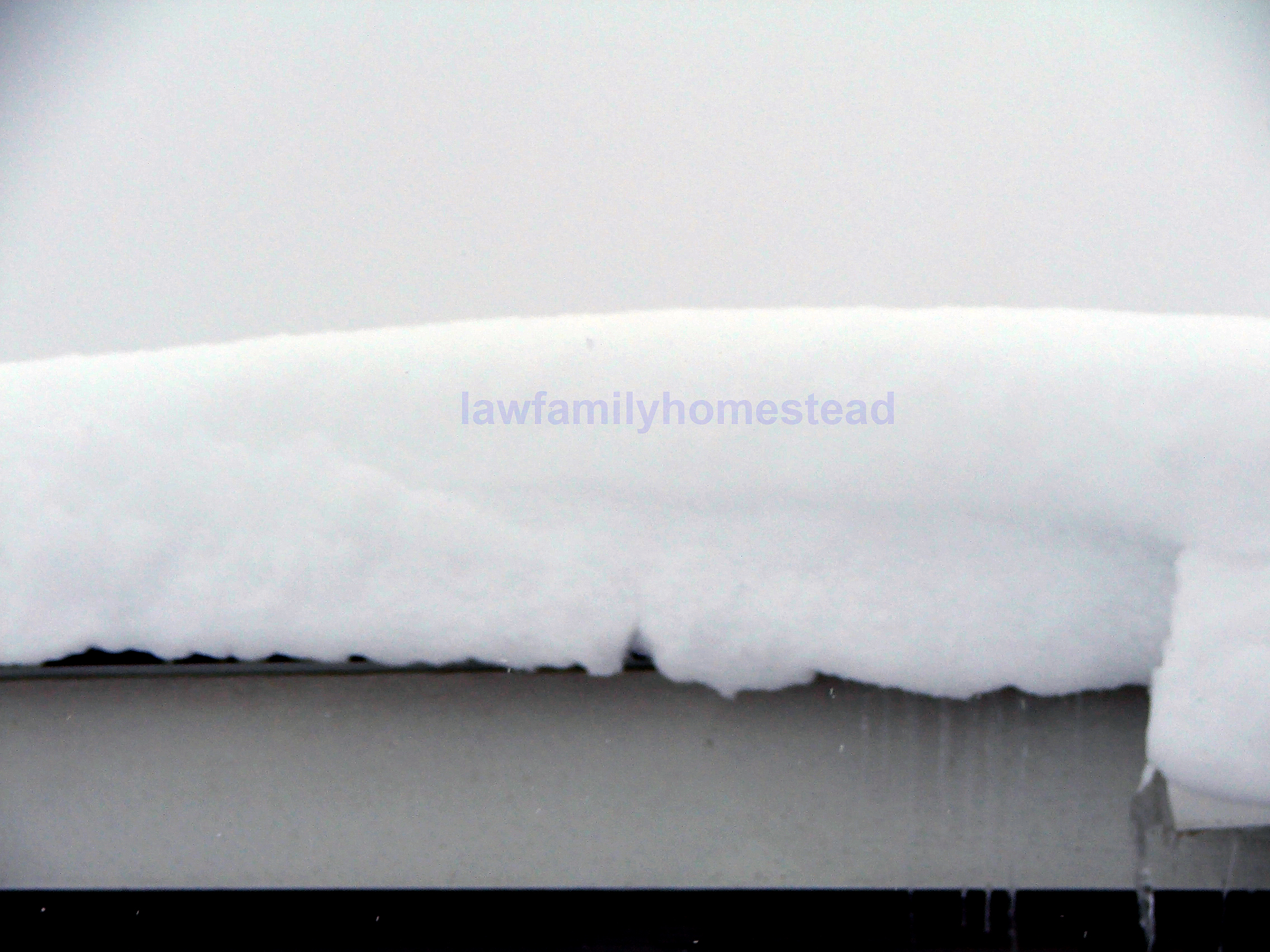 The eave line on the house.