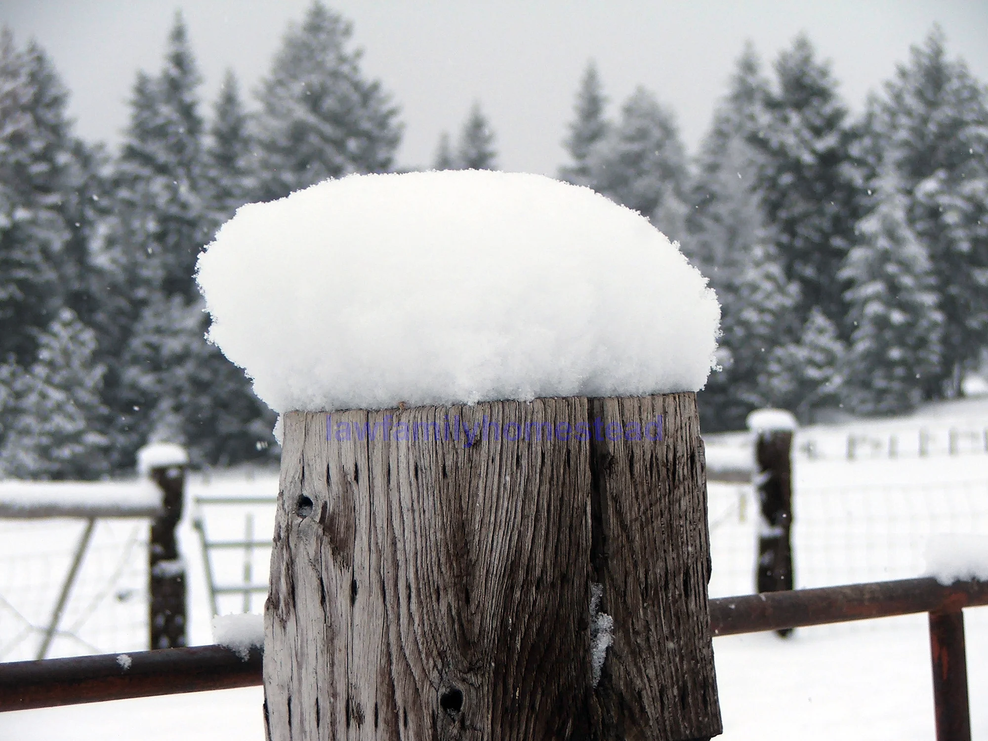 Everything has a white stocking cap this morning.