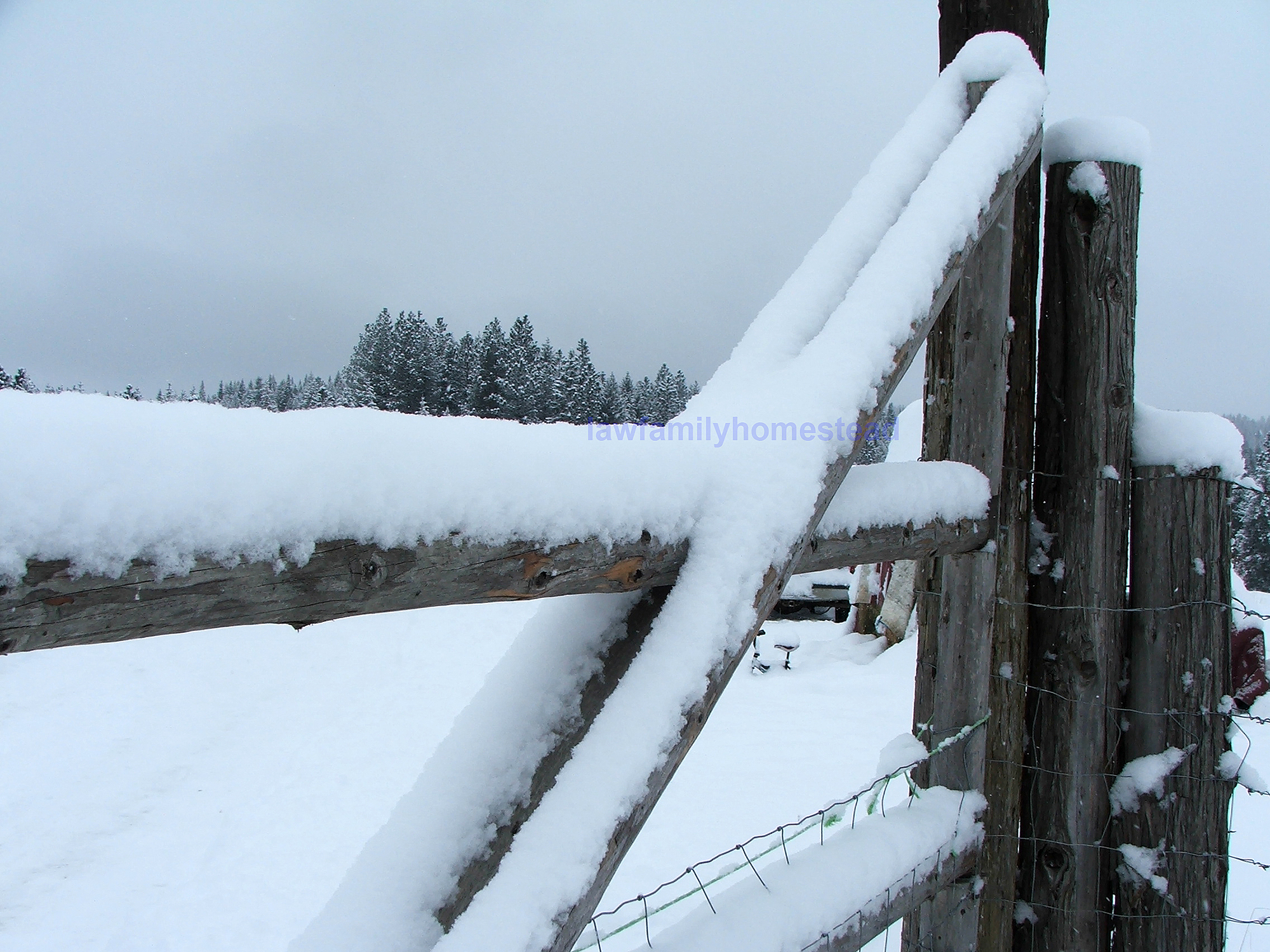 Snow does have a few redeeming qualities if you are a photographer.