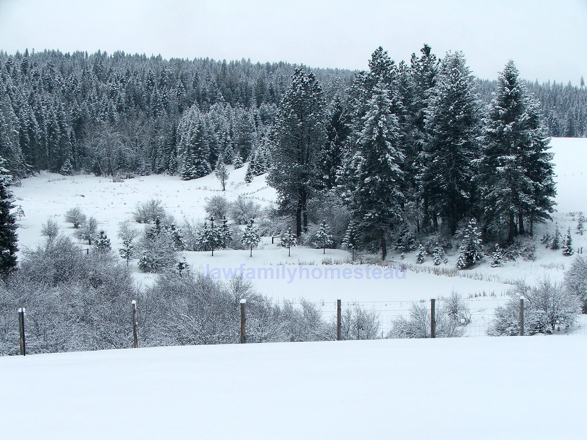 So long! Must get back to shoveling. We're supposed to get some more of this lovely stuff over the weekend!