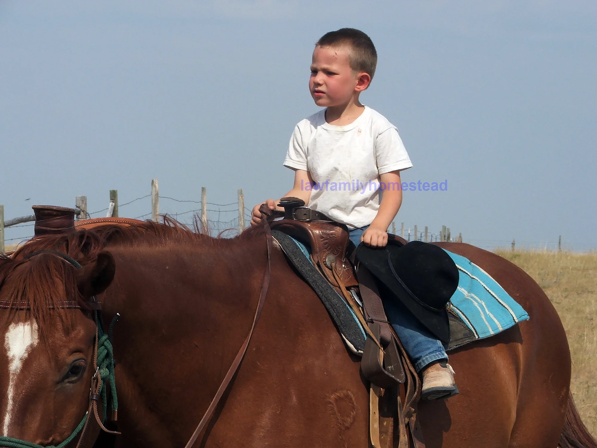 2012_0713_163424-1.jpg