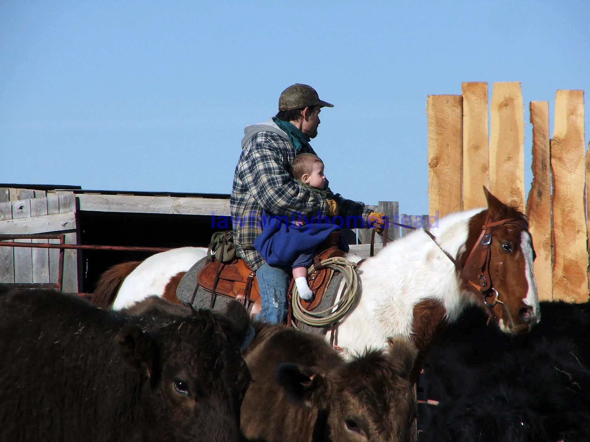 2012_0203_120752-1.jpg