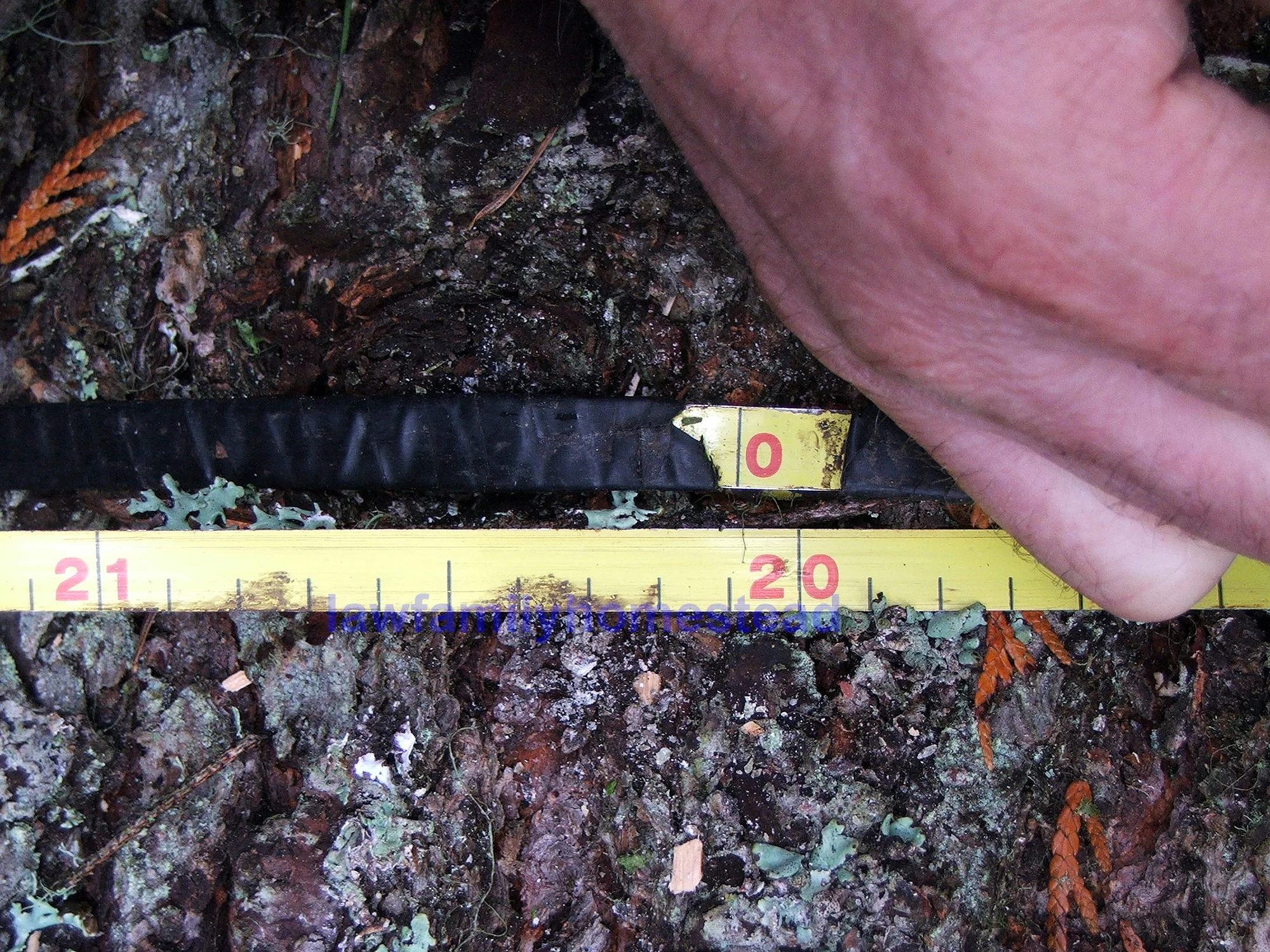 Tape at 20.jpg