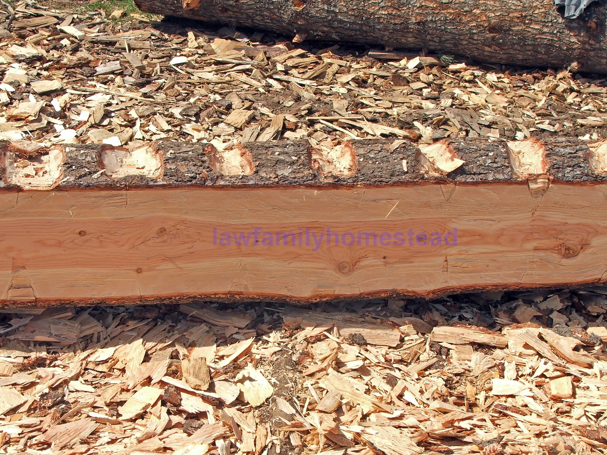 Hand-Hewn Log Dairy  - Part 3