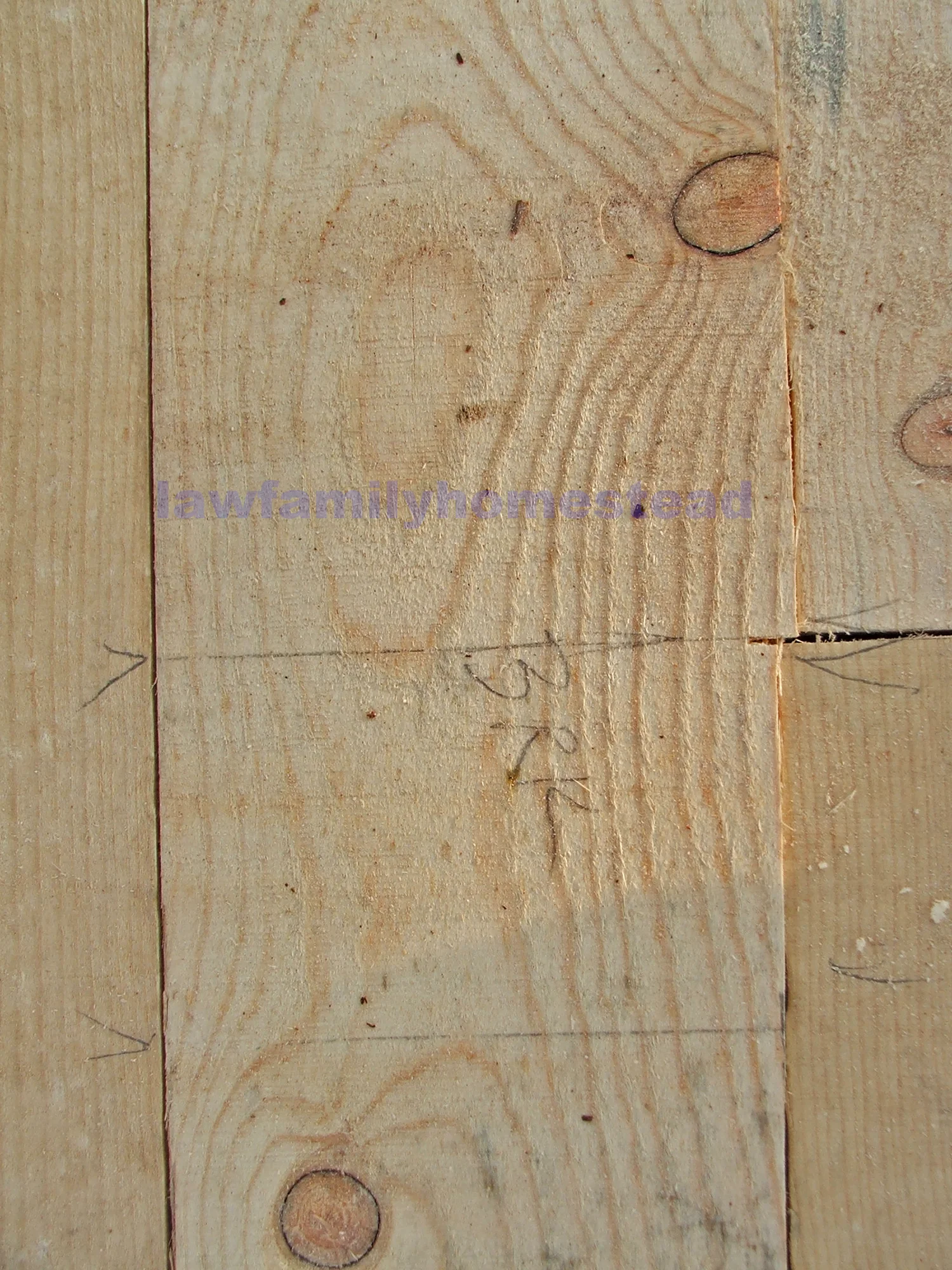 013-1.jpg