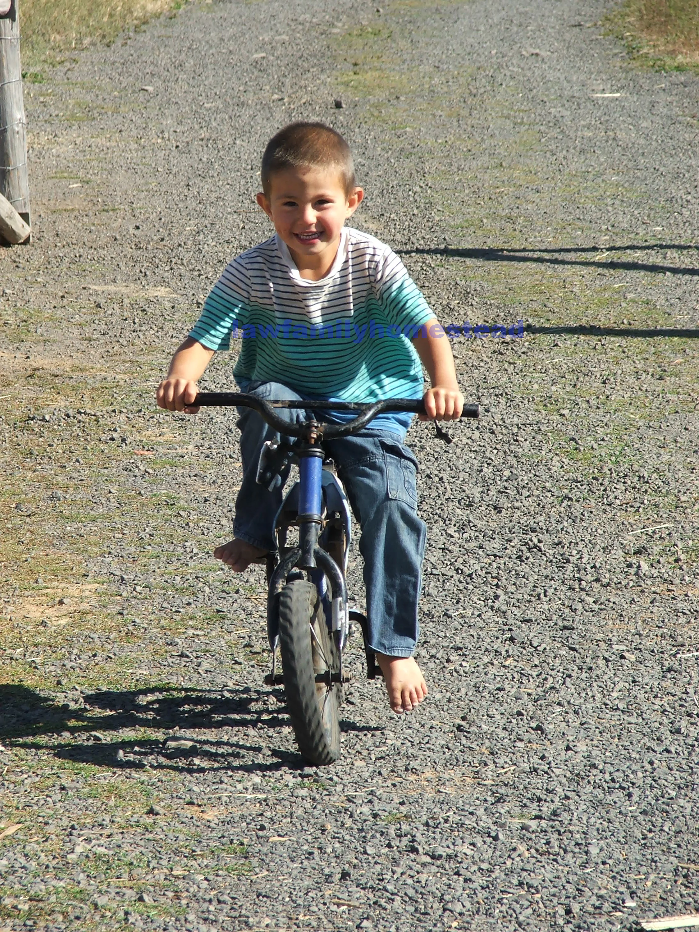 051-1.jpg