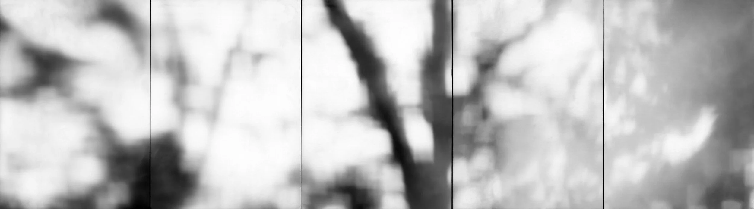 cameraobscura002+003flattened.jpg