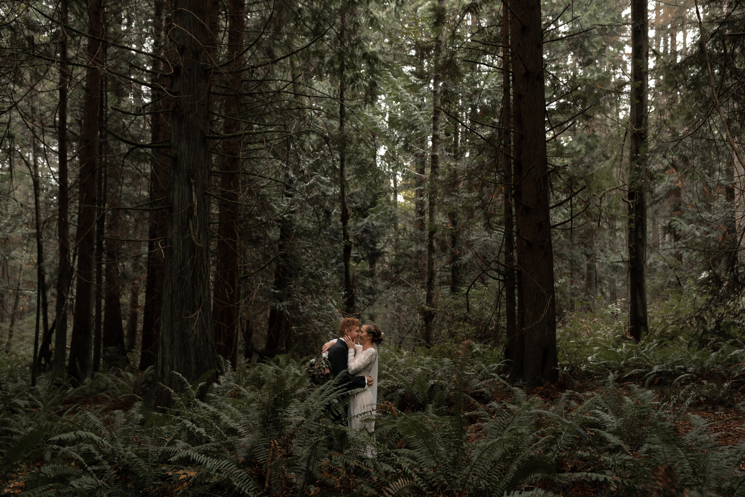 Olympic Peninsula Wedding. Between the Pine. Washington Wedding Photographer Seattle, WA