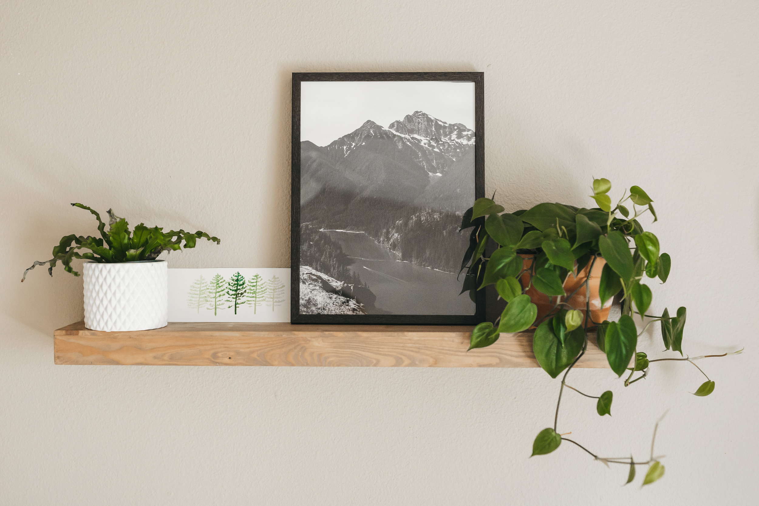 How to be Productive while Working From Home | Between the Pine Adventure Elopement Photography