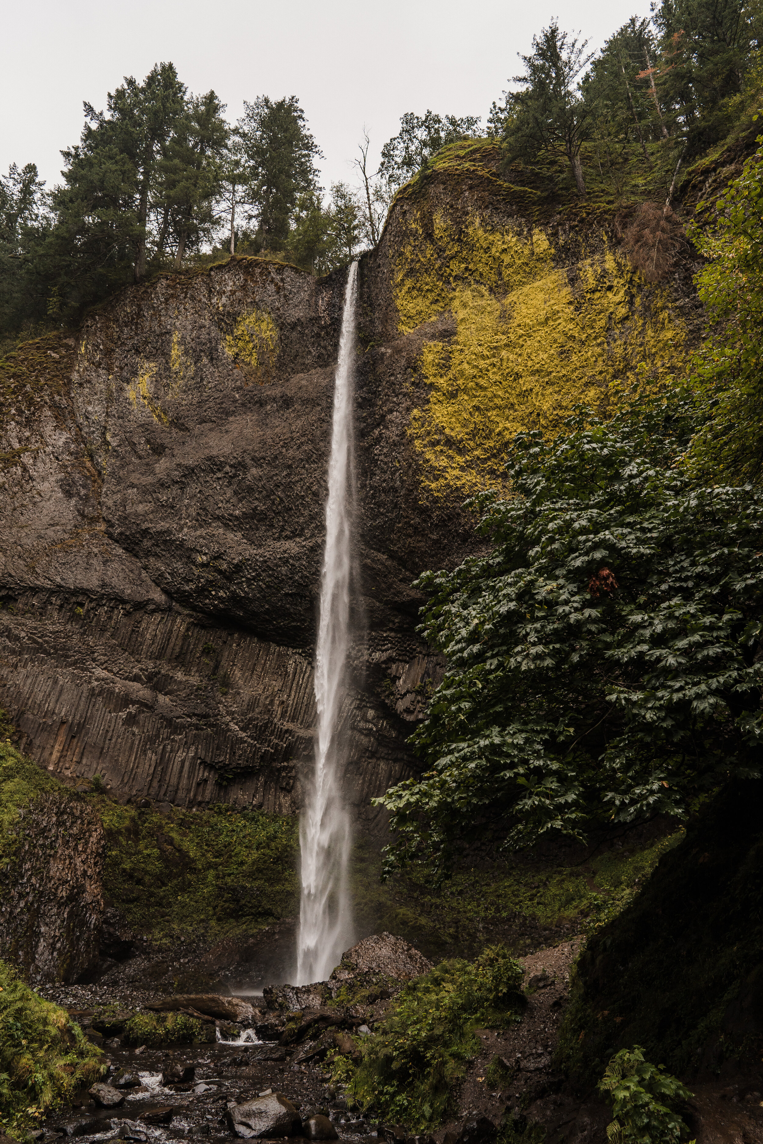 Columbia River Gorge: Elopement Style Vow Renewal | Between the Pine Adventure Elopement Photography