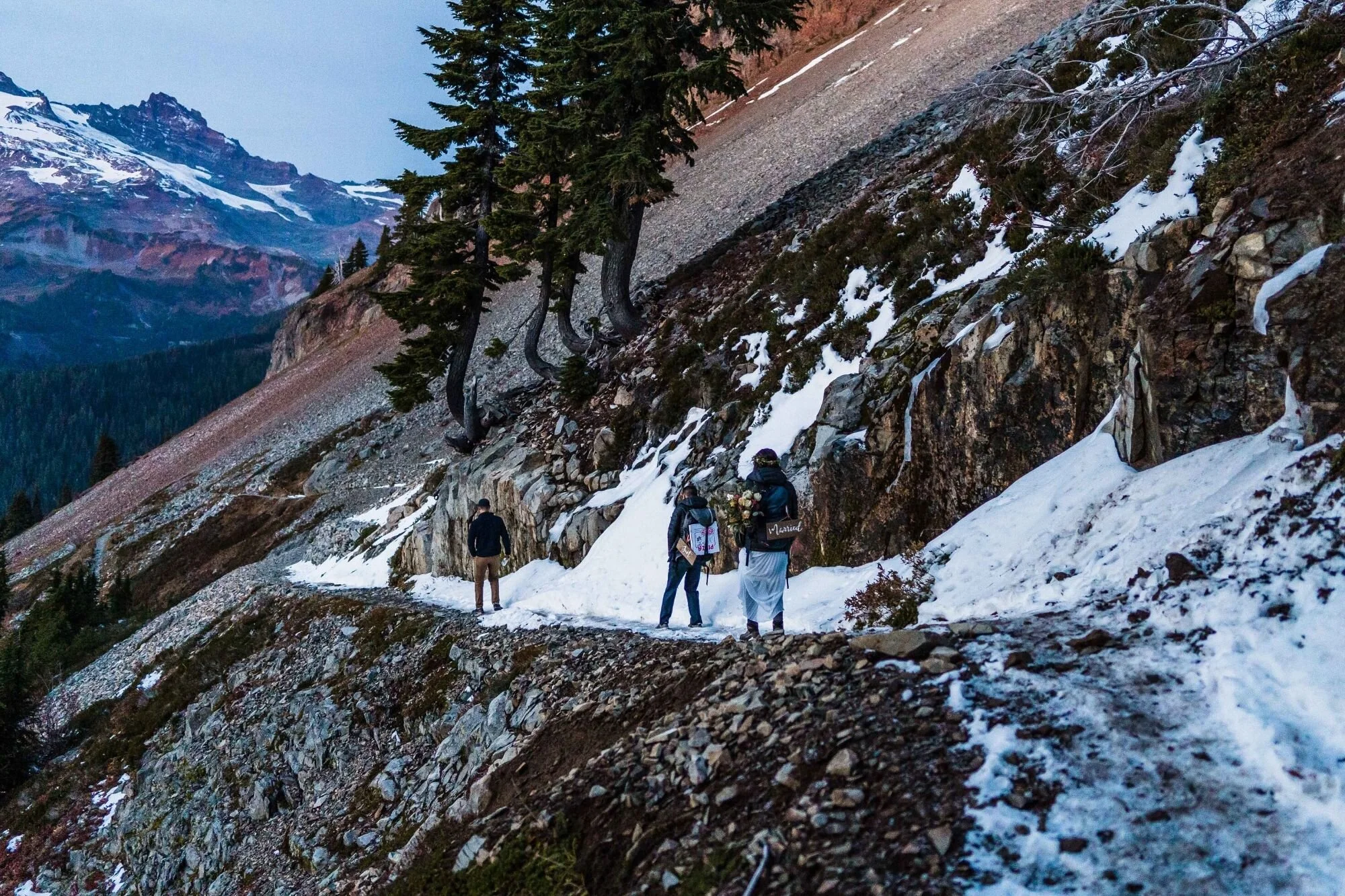 Intimate A Frame Cabin Wedding At Mount Rainier Between The Pine