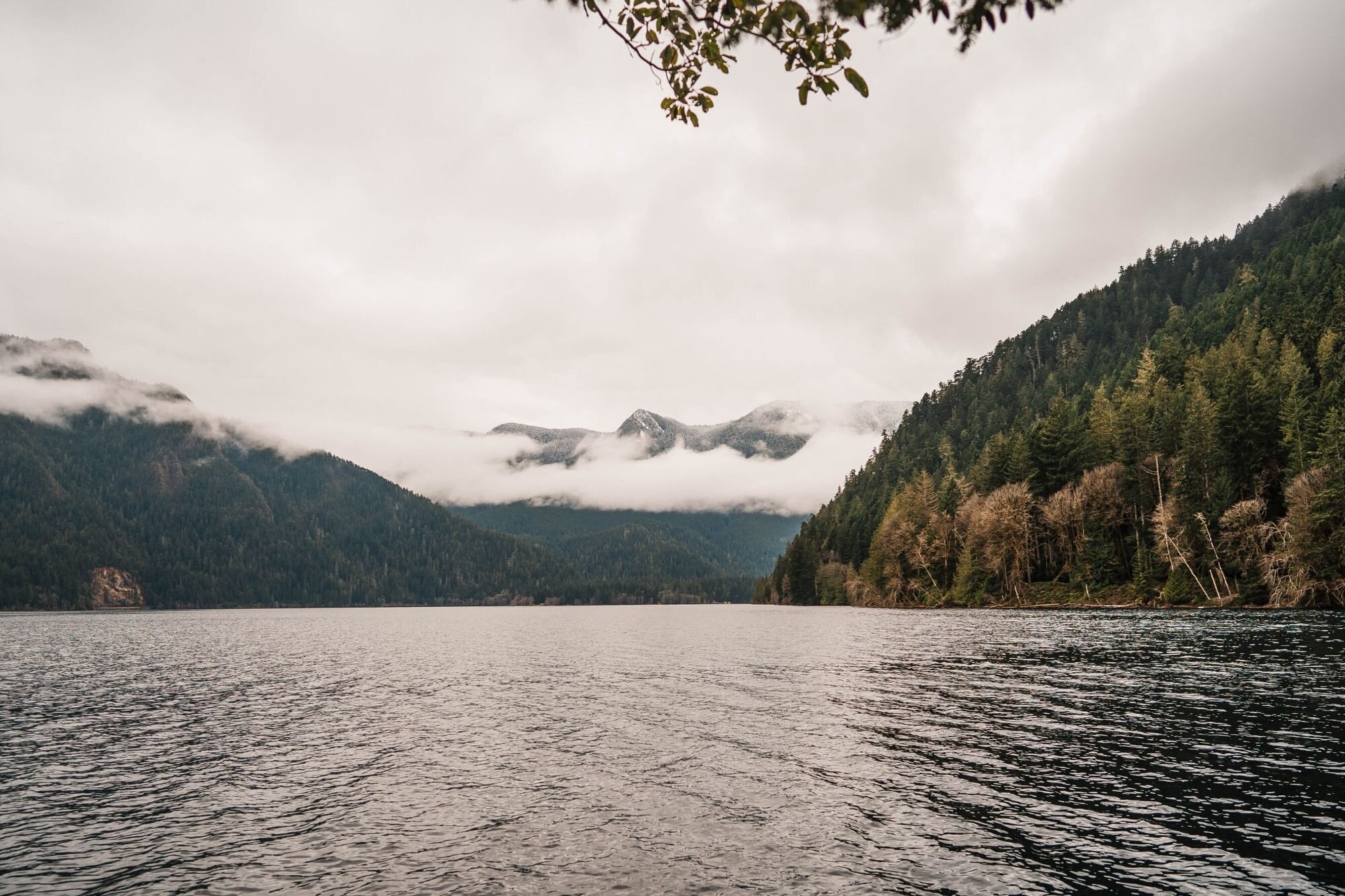 Winter Elopement at Hurricane Ridge and Lake Crescent | Between the Pine Adventure Elopement Photography