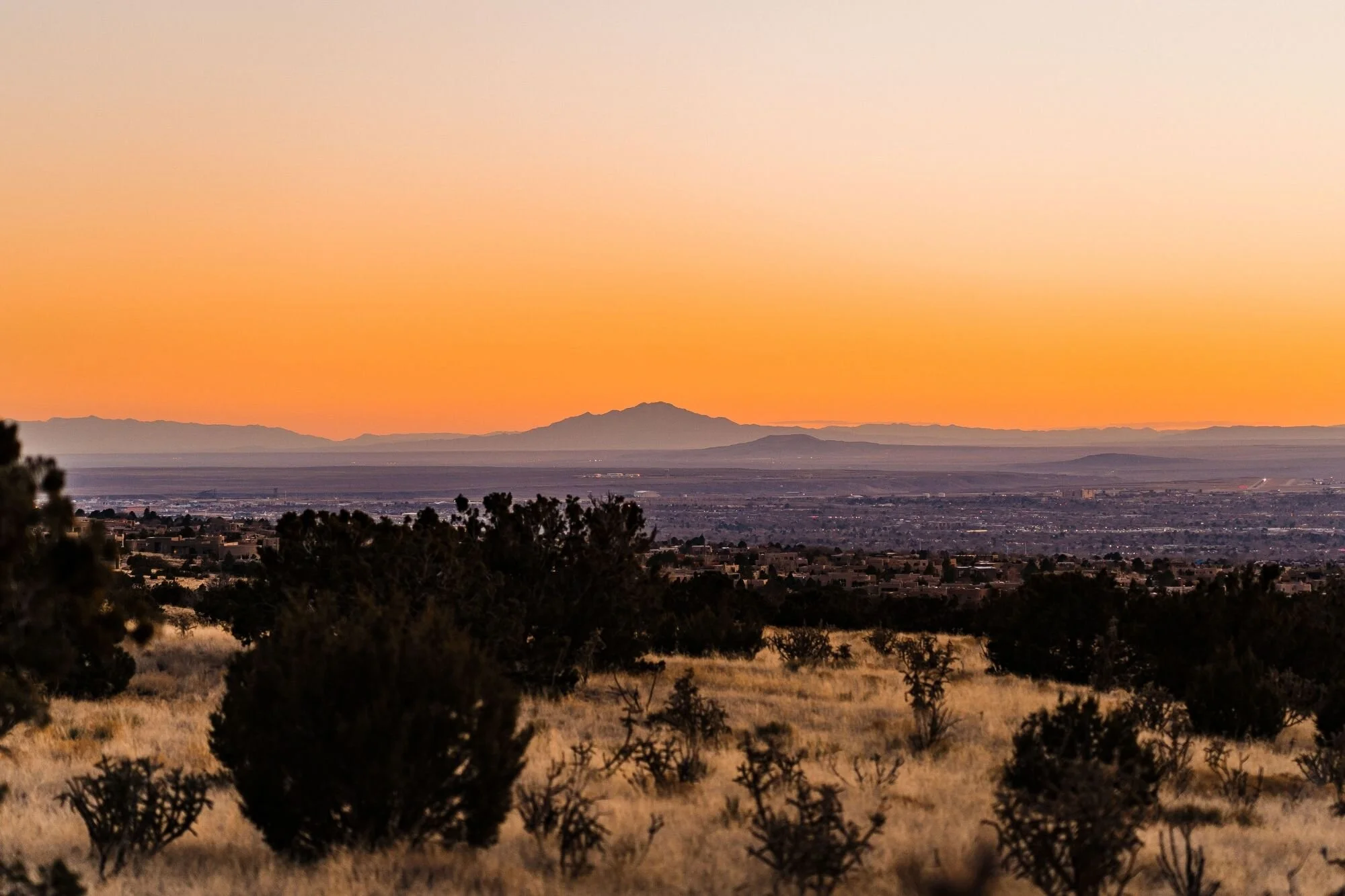 High Desert Photo Shoot In Albuquerque Between The Pine