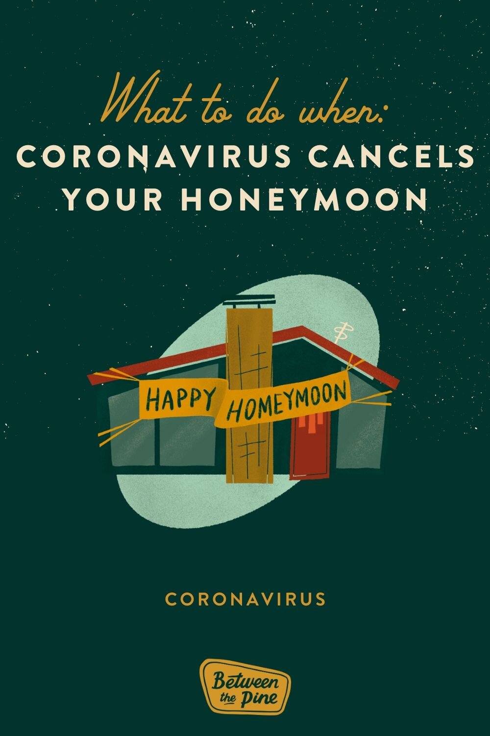 Coronavirus Honeymoon | Between the Pine Adventure Wedding and Elopement Photographer