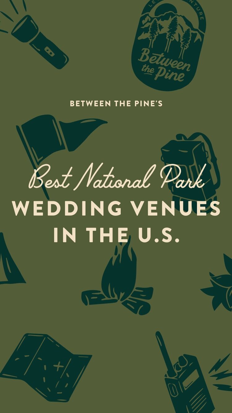 Best national park mountain elopement venues | Between the Pine Elopement Photographer