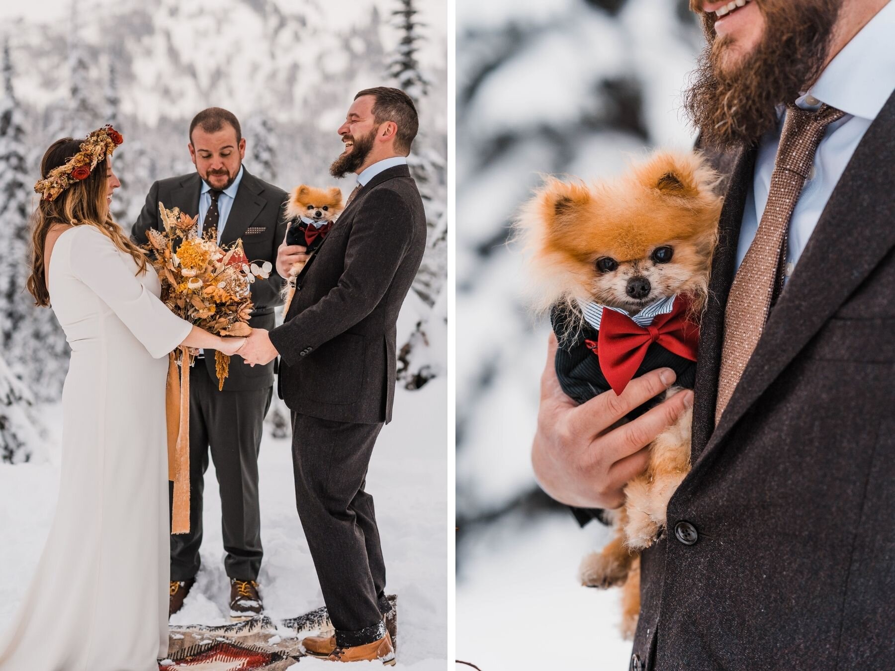 dog-friendly-elopement