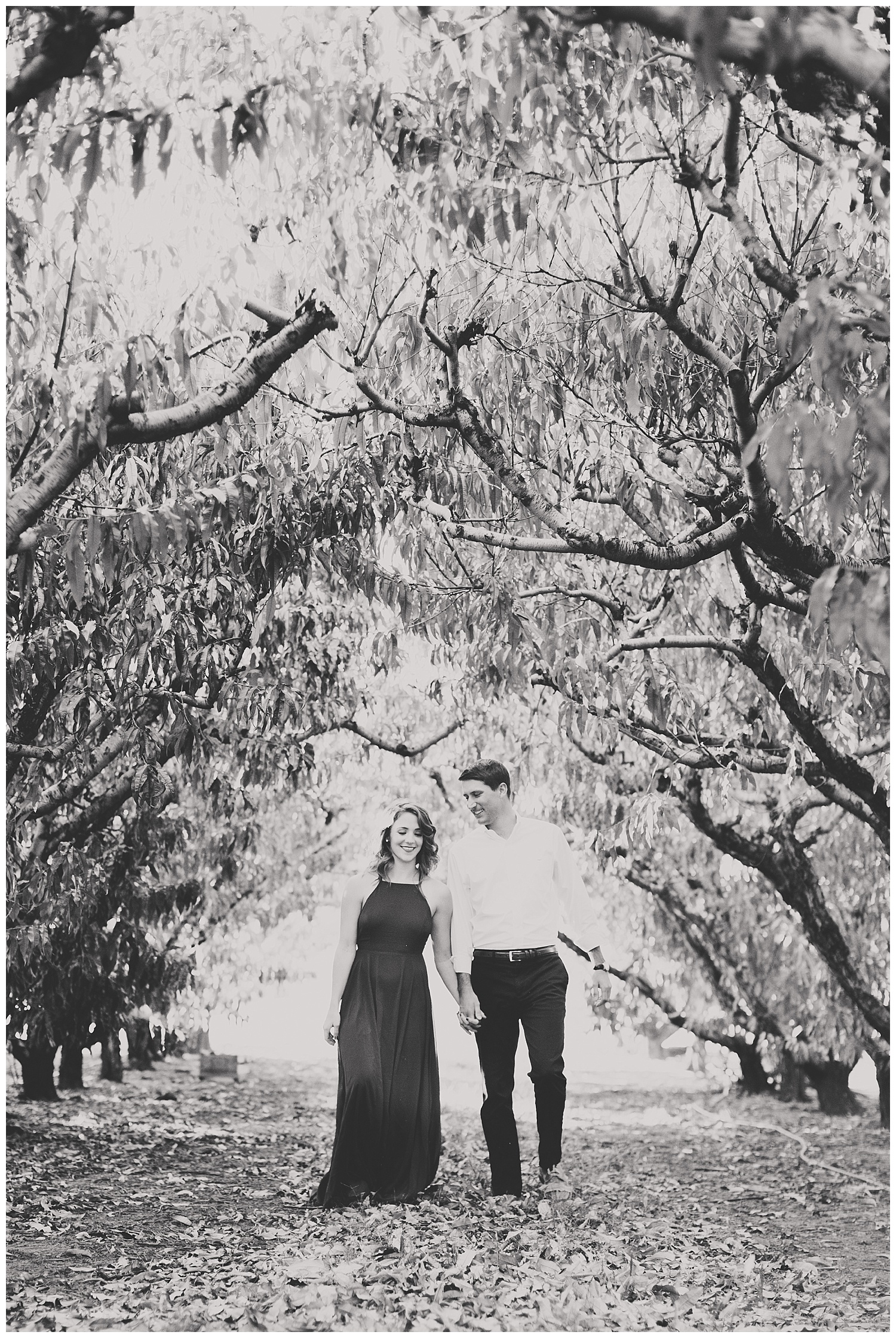 charlottesville_wedding_photographer_chiles_peach_orchard3.jpg