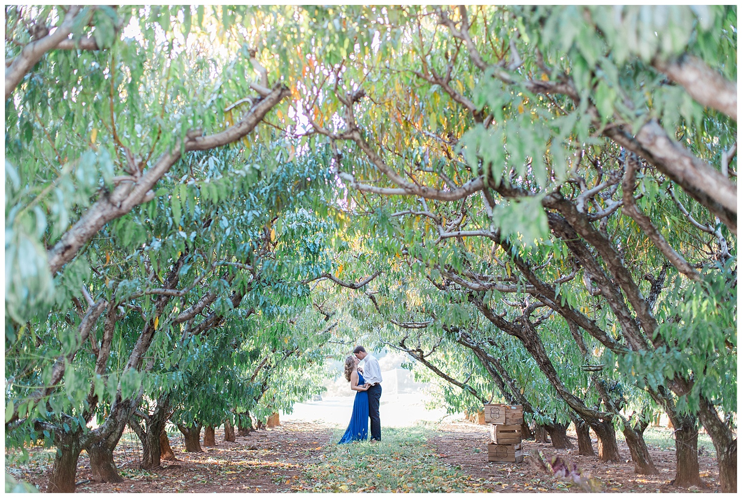 charlottesville_wedding_photographer_chiles_peach_orchard23.jpg