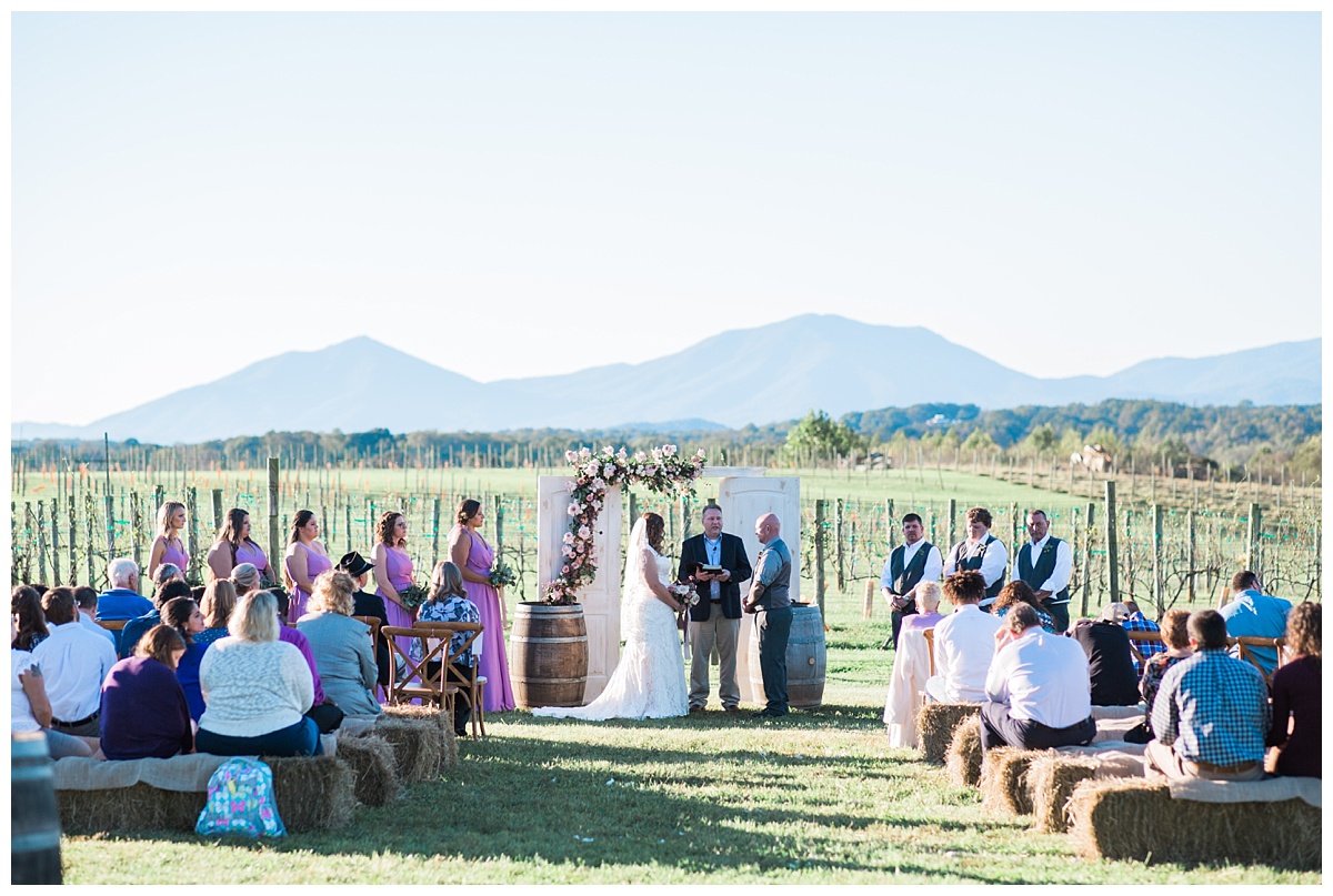 lynchburg_virginia_wedding_photographer_melissa_batman_photography_leogrande_winery47.jpg