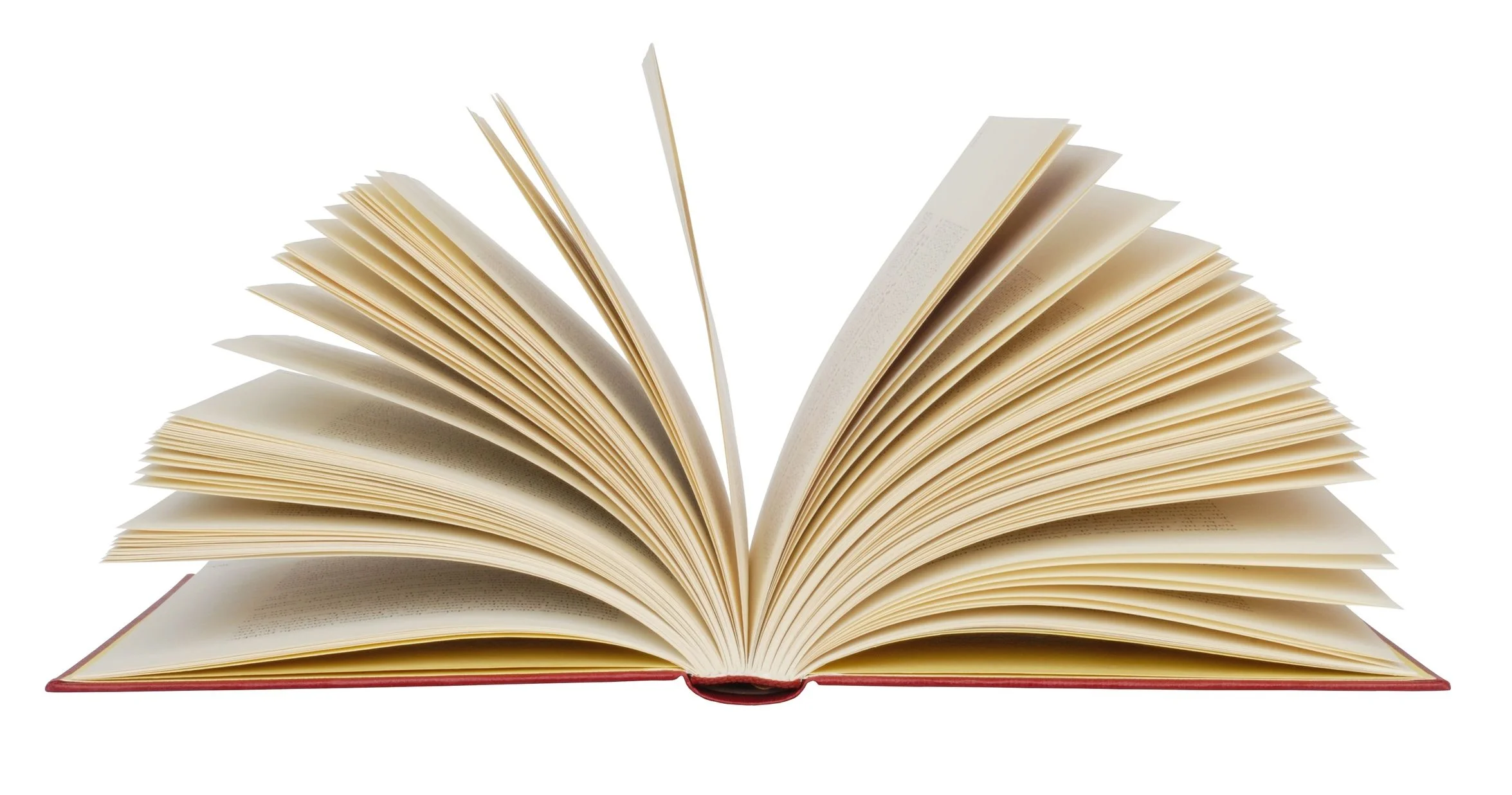 “A novel is the chance to try on a different life for size.” -- Marion C. Garretty