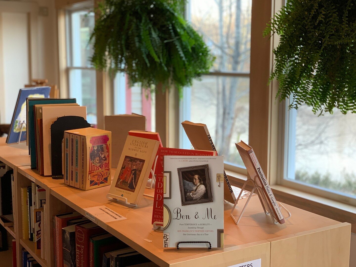 It's nice to be able to look out over the Damariscotta River from our Classics section. ⁠
⁠
Come pay us a visit today; our thoughtful volunteers are here until 4 p.m. Help keep them safe + healthy and wear your mask! 😷&hearts;️⁠
⁠
#bookstagram #inde