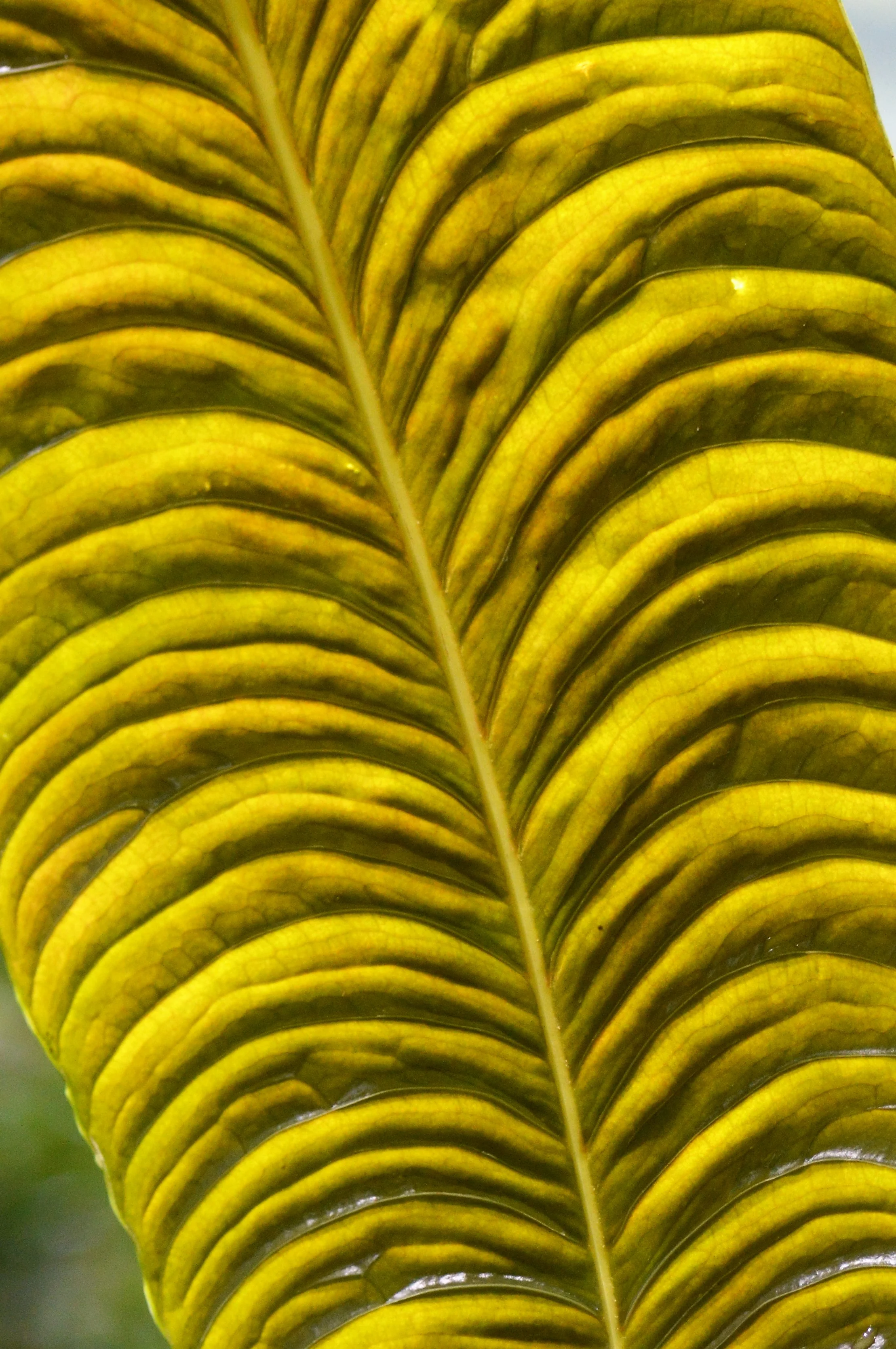 D3200 DSC_1226 (2).JPG