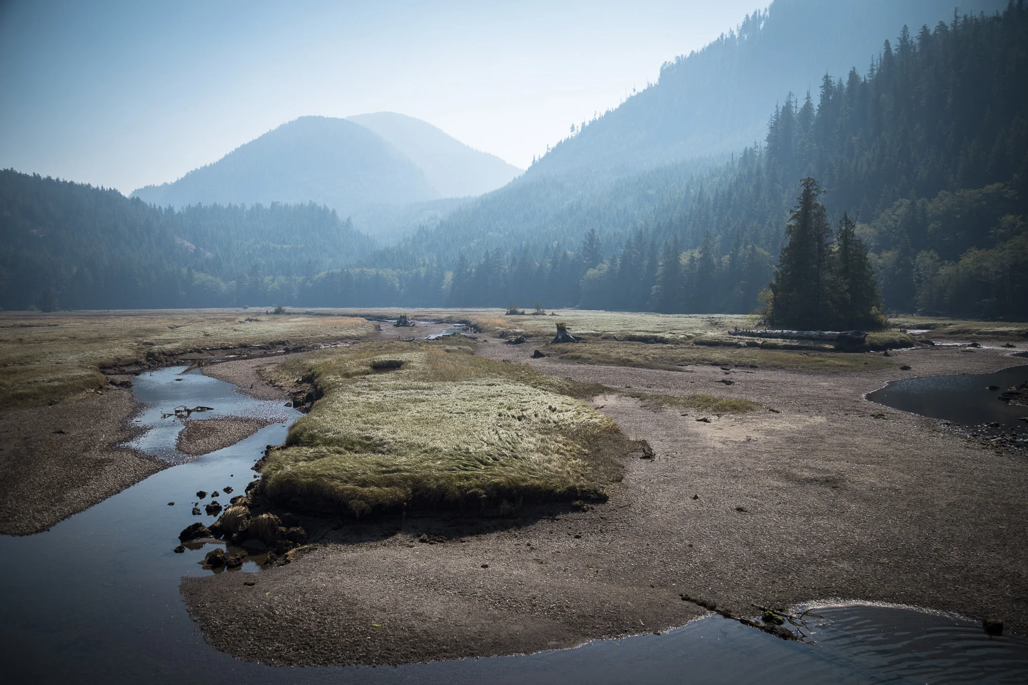 LouDahl_01_MG_1715.jpg