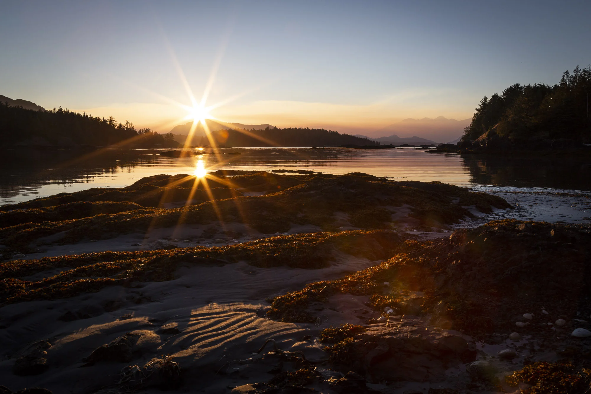 LouDahl_101_MG_2139.jpg